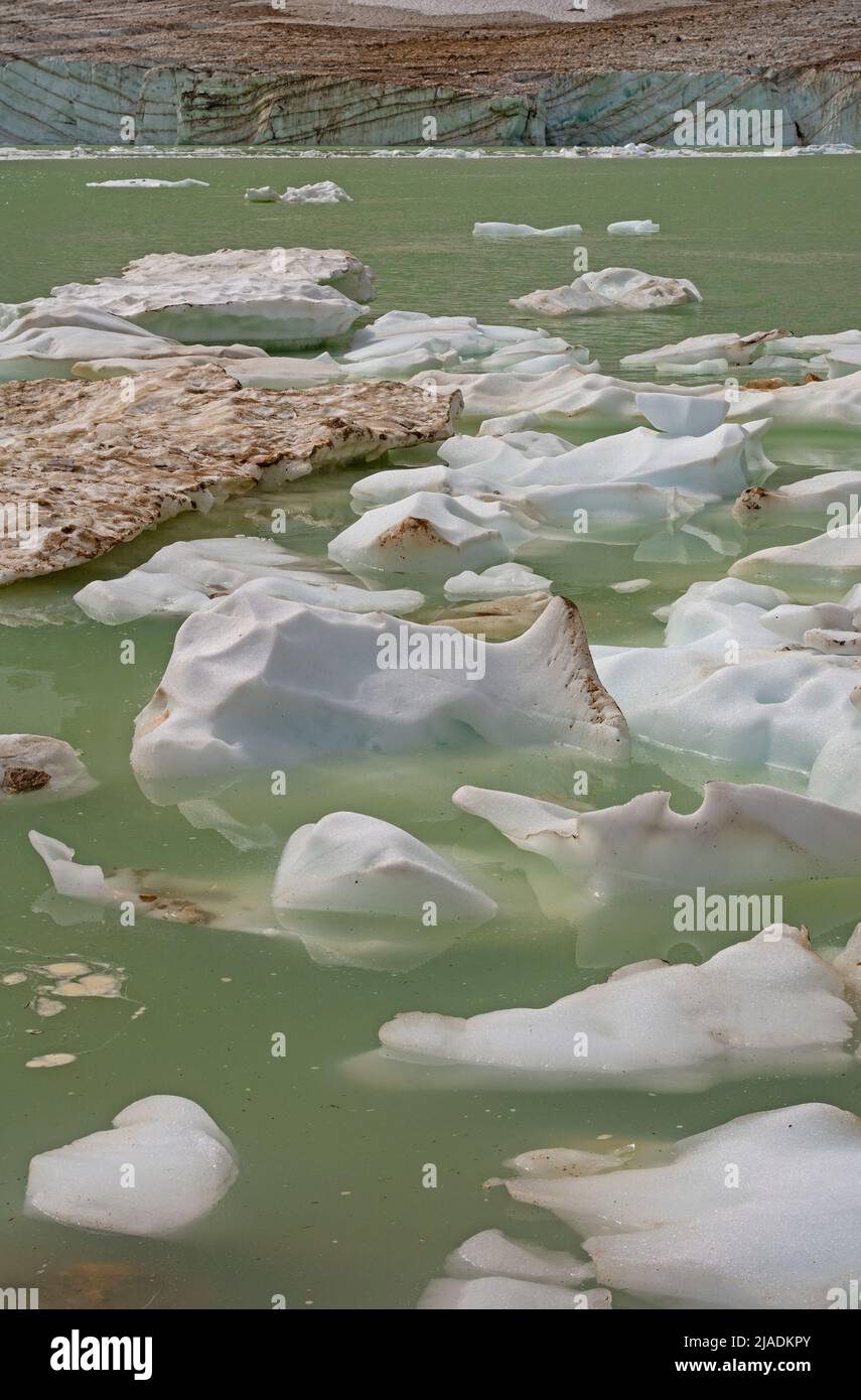 Iceberg Patterns on a Glacial Pond on the Cavell Pond in Jasper National Park in Canada Stock Photo