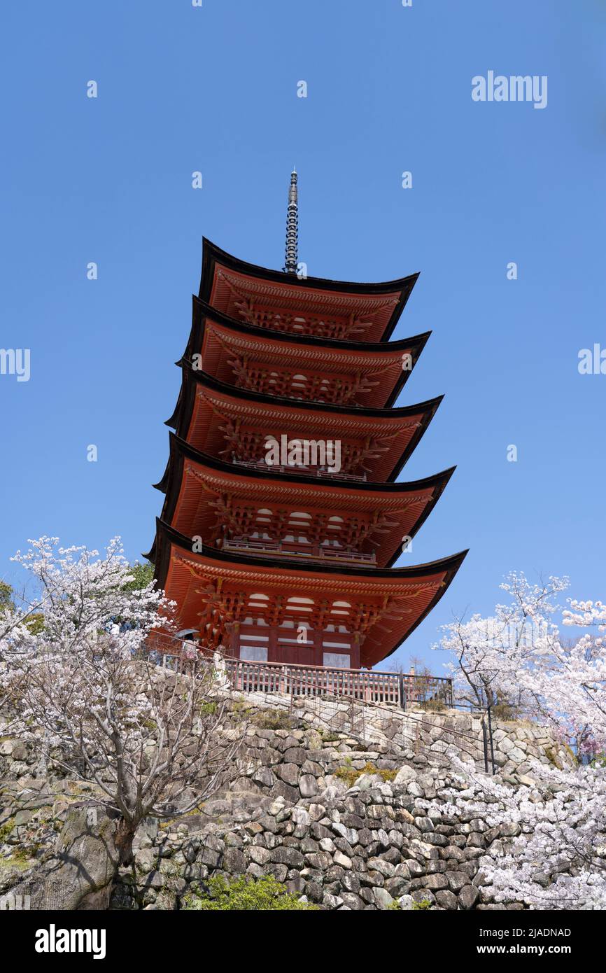 Toyokuni Shrine Five-Story Pagoda with cherry blossom 厳島神社 五重塔 Miyajima Island aka Itsukushima, Hiroshima Bay, Western Honshu, Japan Stock Photo