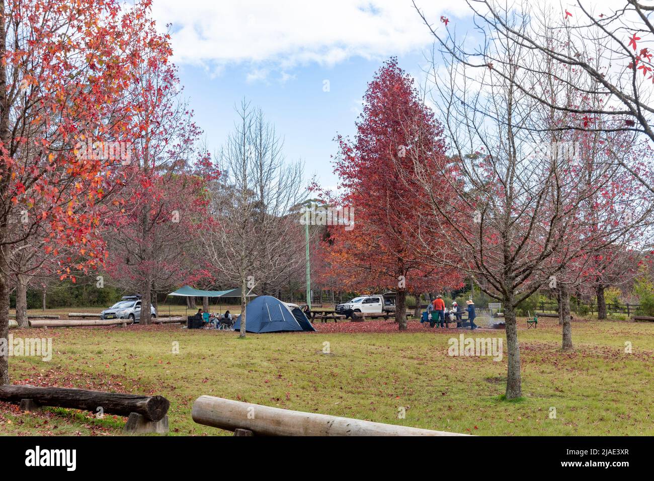 Cathedral campground in Mount Wilson, Blue mountains national park, offers free camping sites