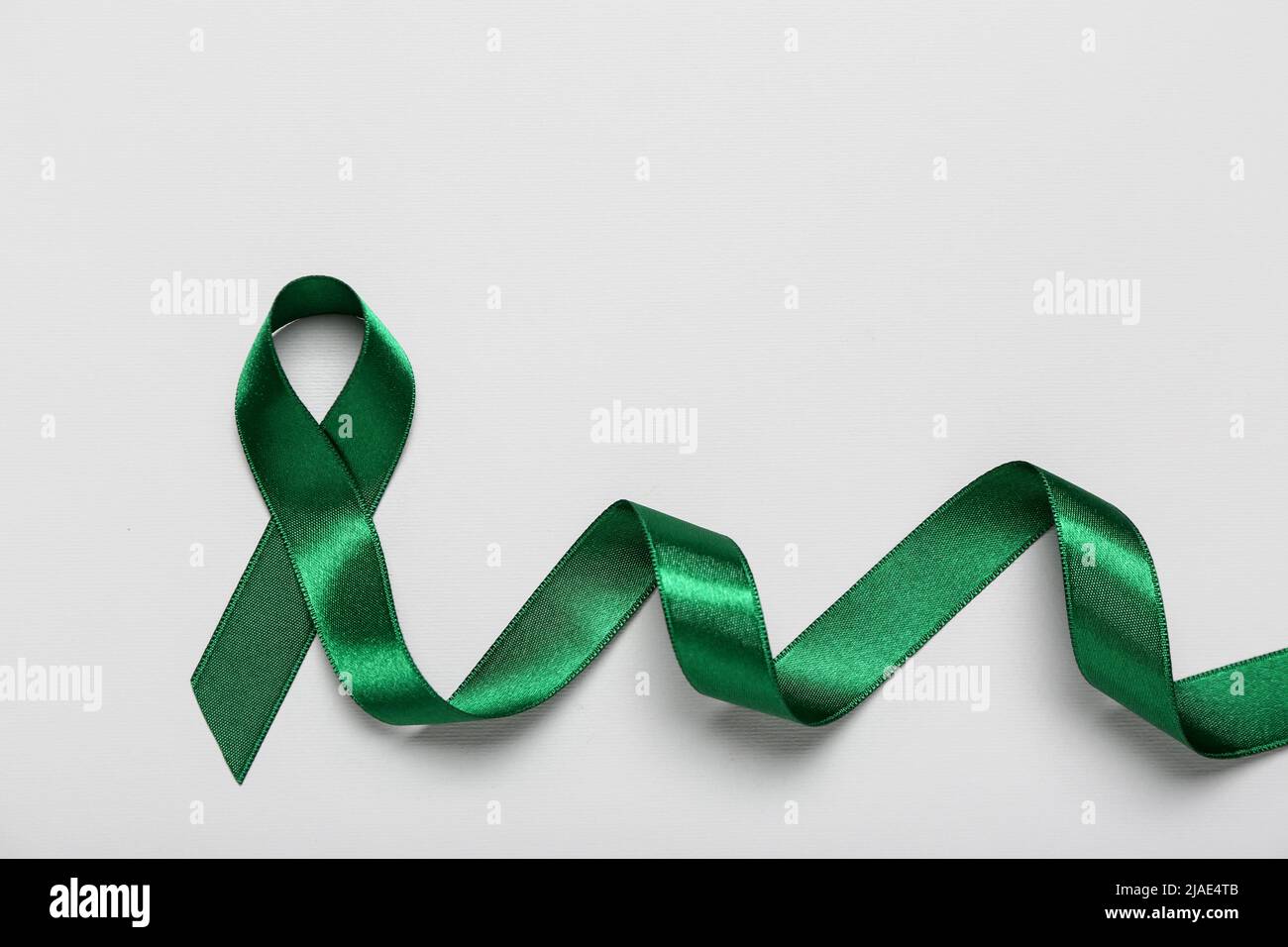 Light Green Satin Awareness Ribbon
