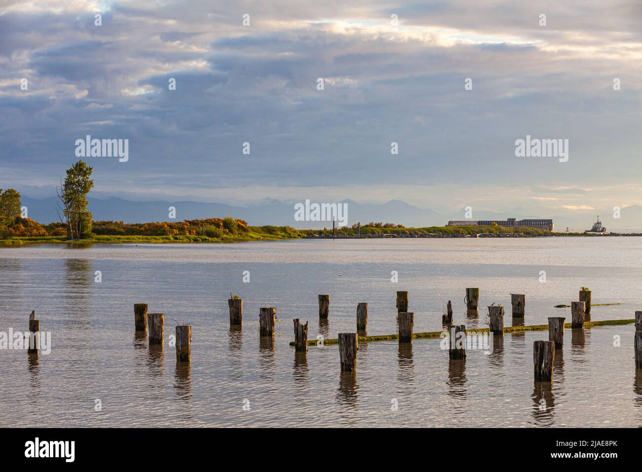 Wooden pilings of a former fish cannery along the Steveston waterfront in British Columbia Canada Stock Photo