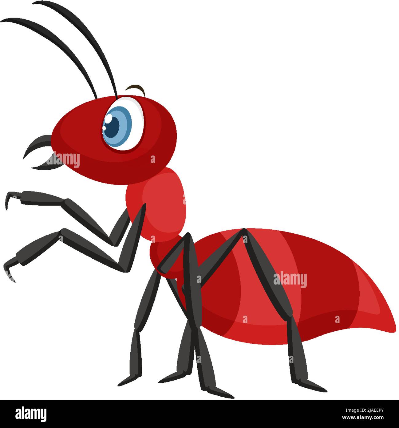Red ant isolated on white background illustration Stock Vector Image & Art  - Alamy