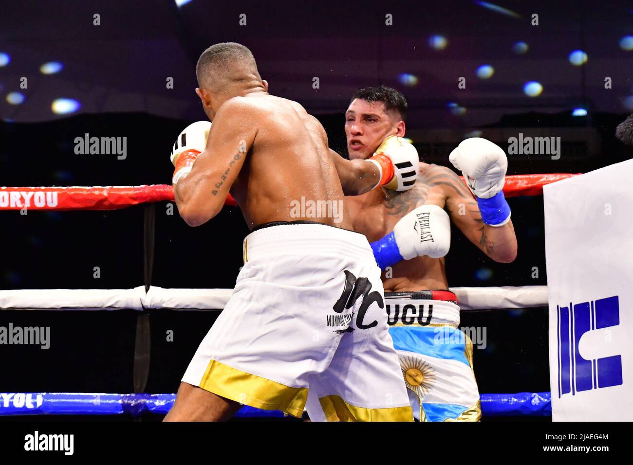 SAO PAULO, BRAZIL - May 29: (L-R) Esquiva Falcão punches Cristian Fabian “El Tuca” Rios in their super middleweight bout during Boxing For You 11 Event at Arena de Lutas on May 29, 2022 in São Paulo, SP, Brazil (Photo by Leandro Bernardes/Pximages) Credit: Px Images/Alamy Live News Stock Photo