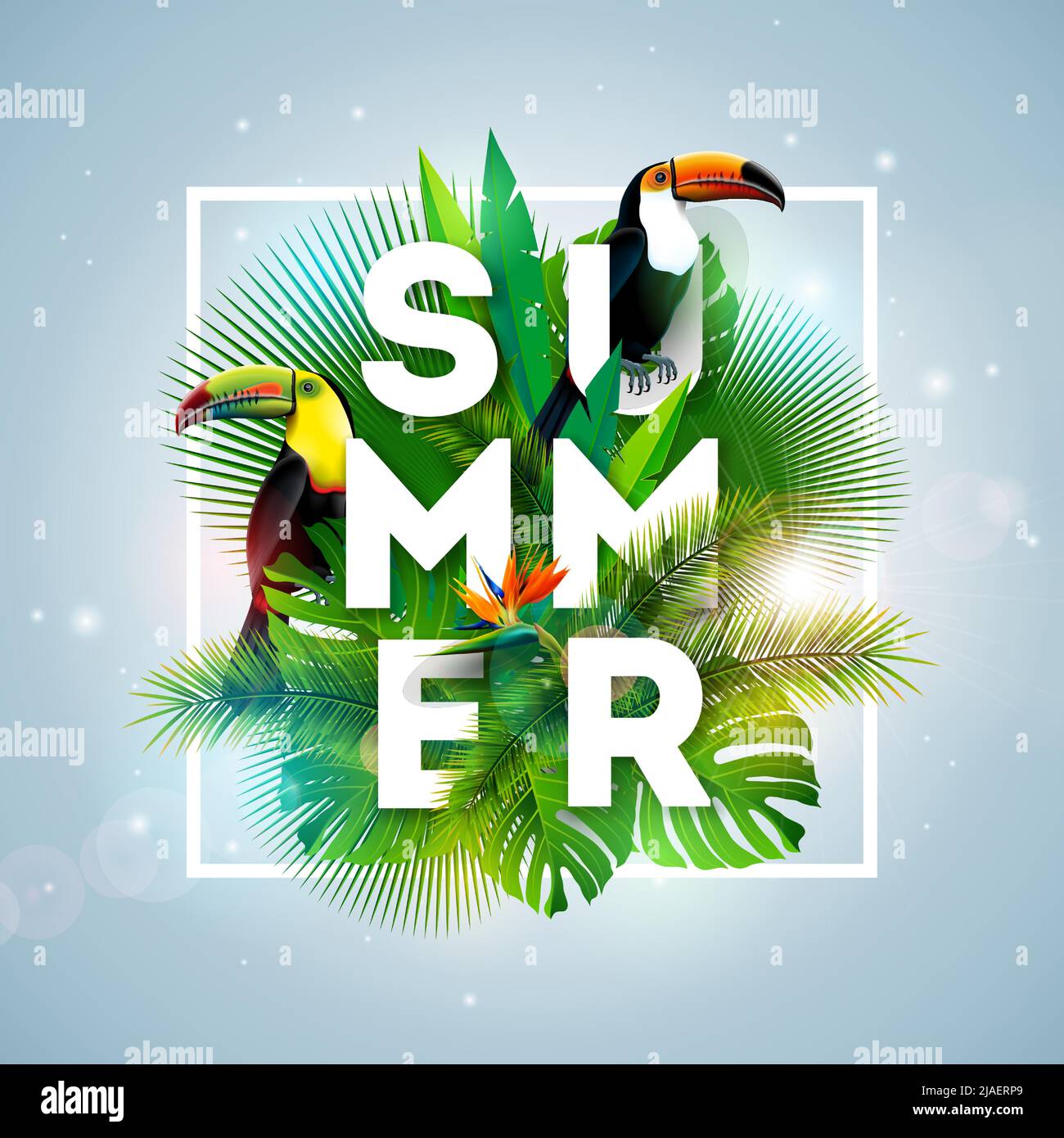 Tropical Summer Holiday Design with Toucan Bird and Parrot Flower on ...