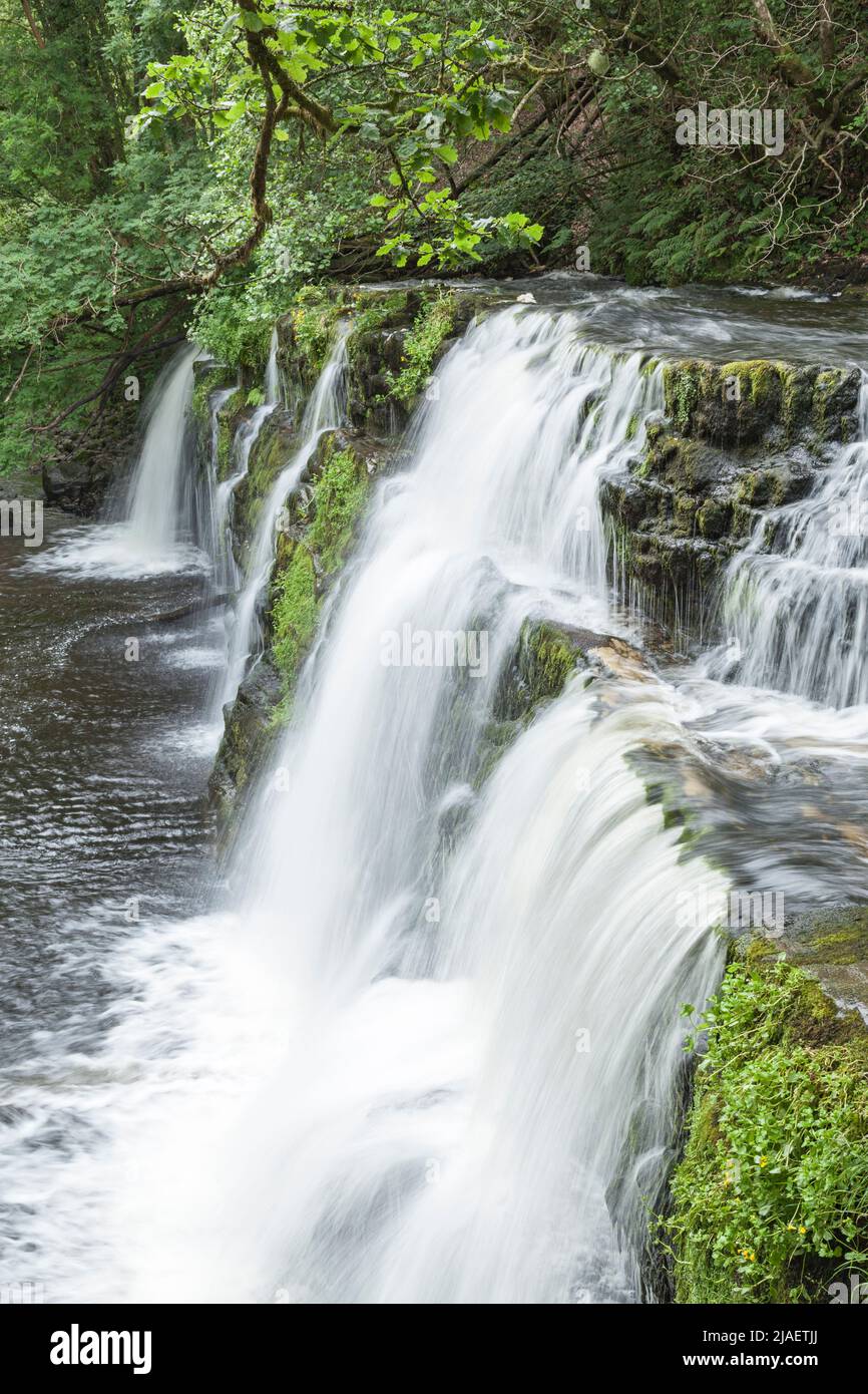 Sgwd y Pannwr (Waterfall of the Cloth Washer), River Mellte, near Ystradfellte, Brecon Beacons National Park, Powys, South Wales, UK Stock Photo