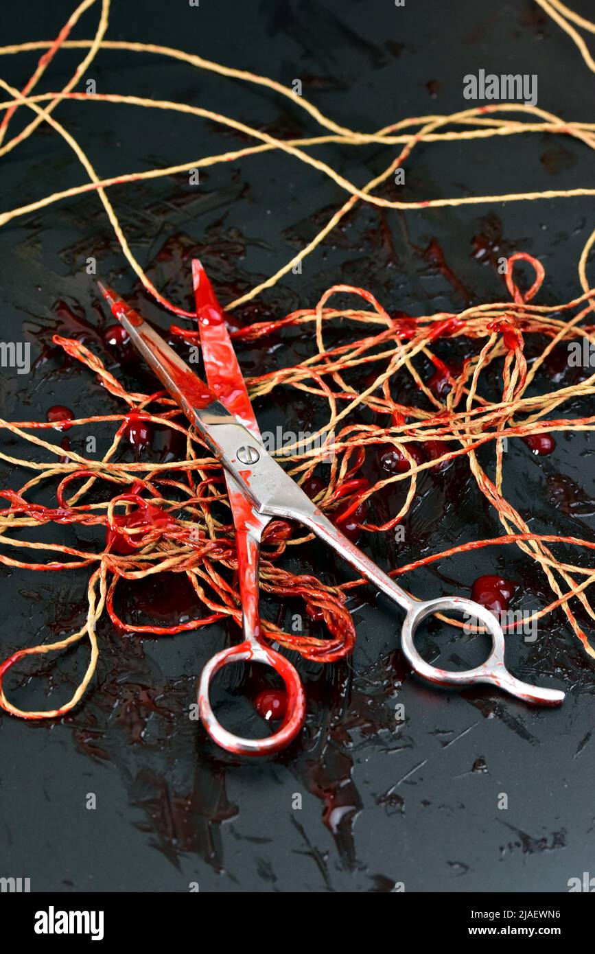 crime horror thriller shear scissor with blood Stock Photo Alamy