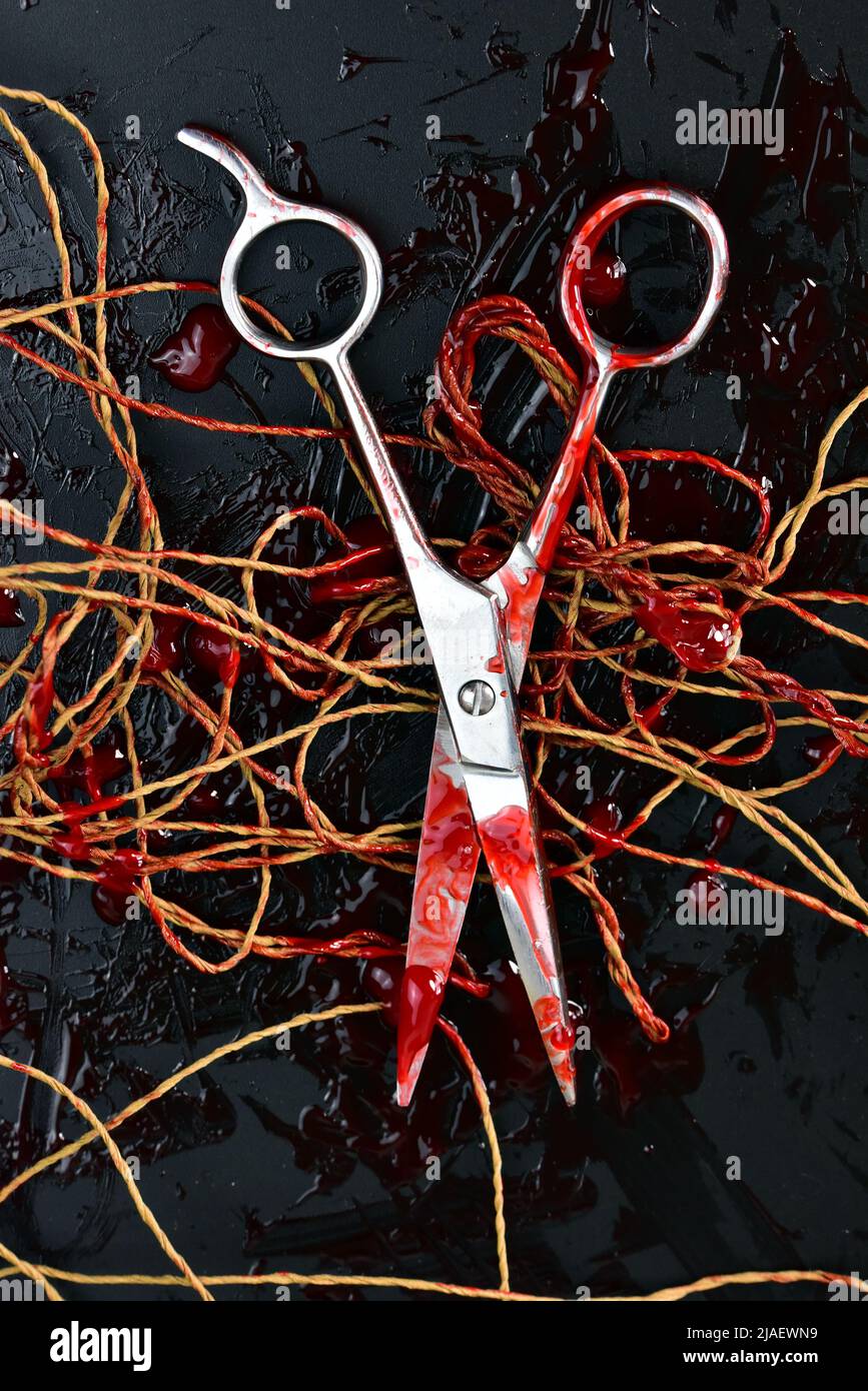 crime horror thriller shear scissor with blood Stock Photo