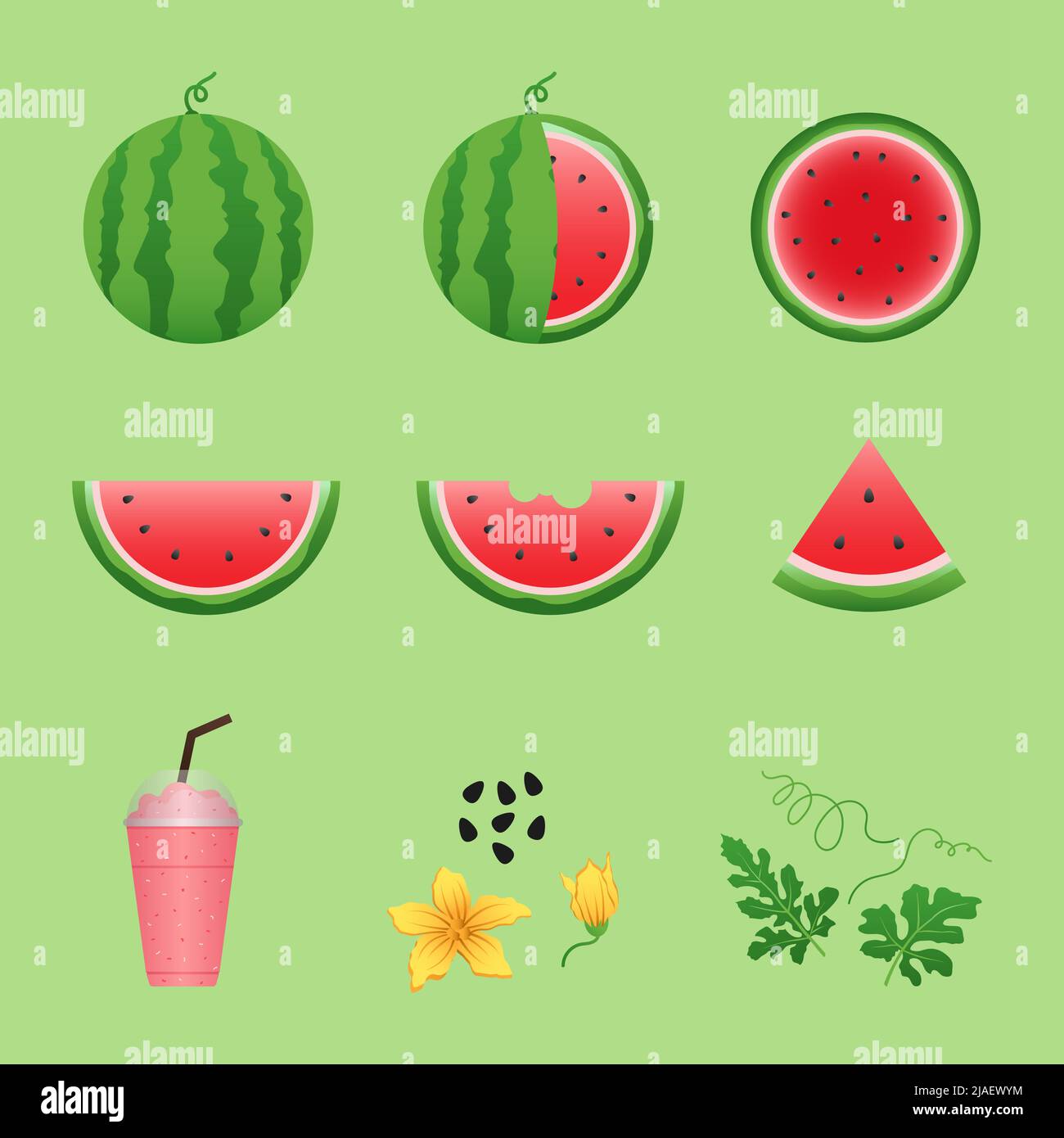 Watermelon and juicy slices vector set, flat design of green leaves and ...