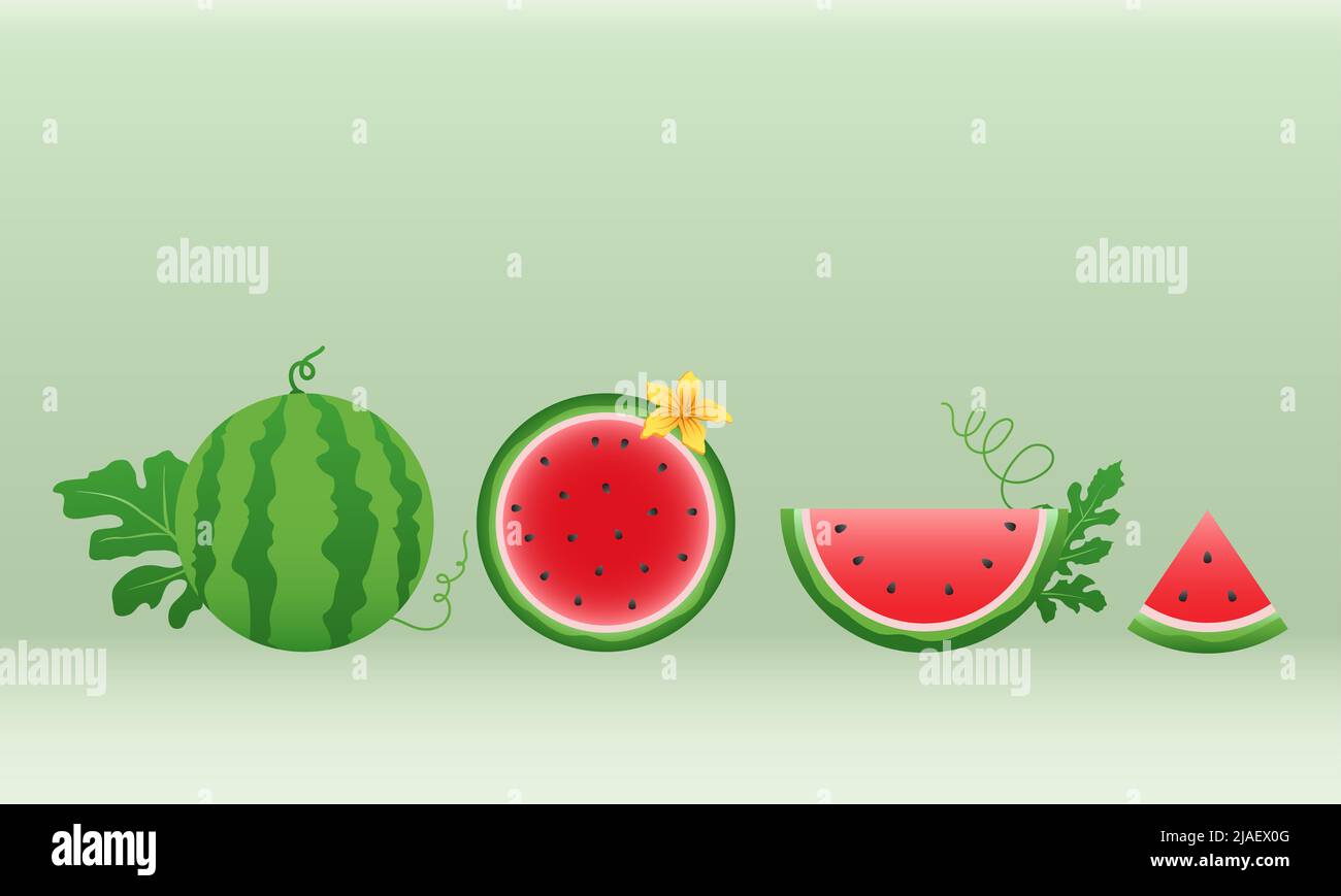 Watermelon and juicy slices vector set, flat design of green leaves and ...