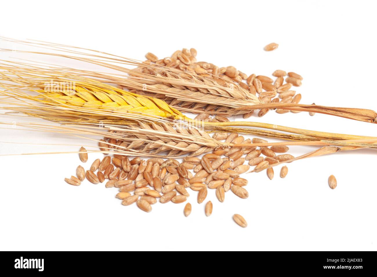 Wheat ears and grains isolated on white background Stock Photo - Alamy