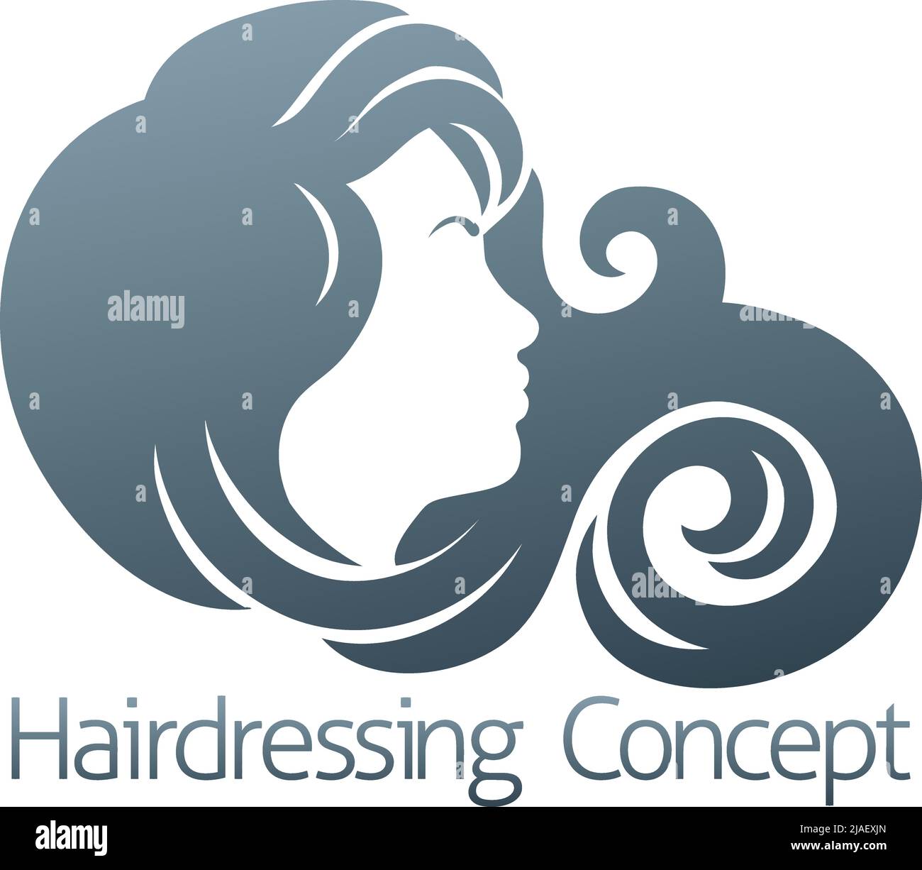 Woman Silhouette Hairdresser Hair Salon Icon Stock Vector