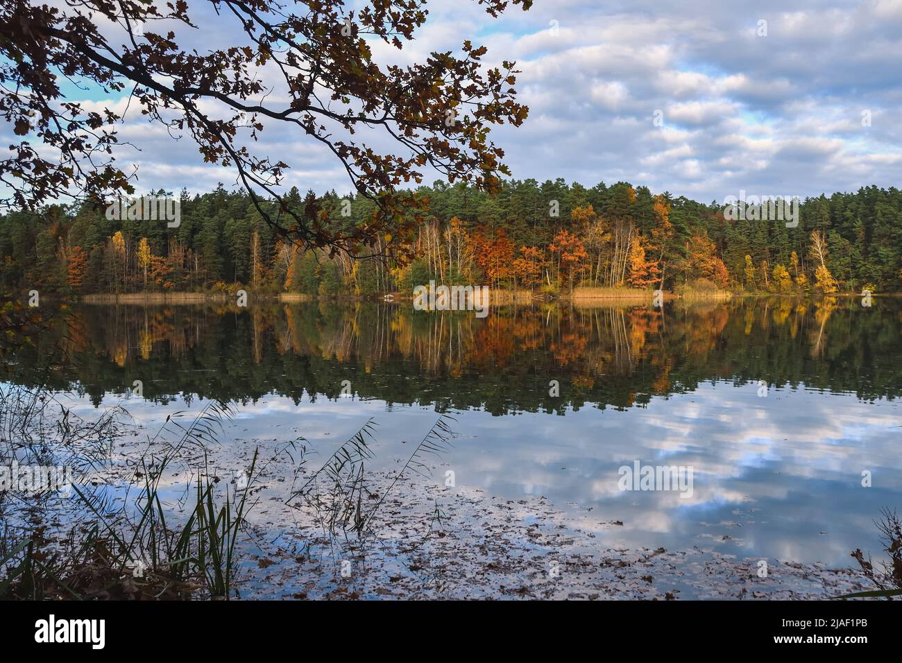 Autumn scene by the water. Colorful trees reflecting in a beautiful pond. Stock Photo