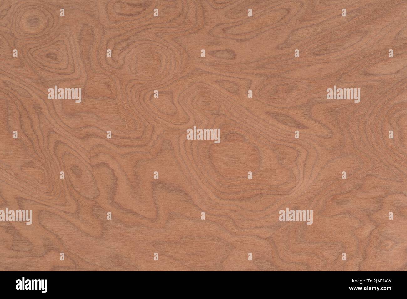 Radica Exotic 3 wood panel texture pattern Stock Photo