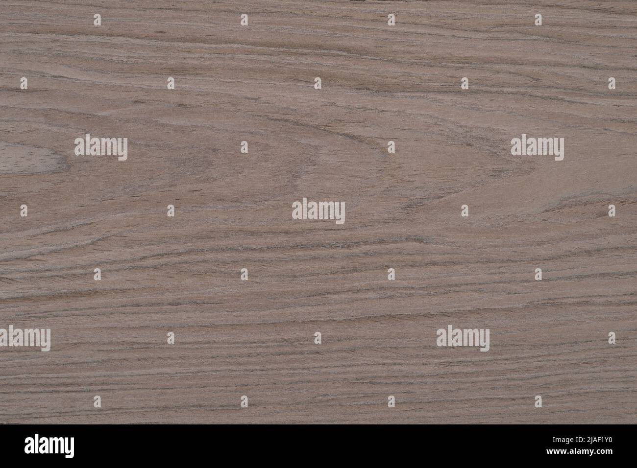 Walnut canaletto wood panel texture pattern Stock Photo