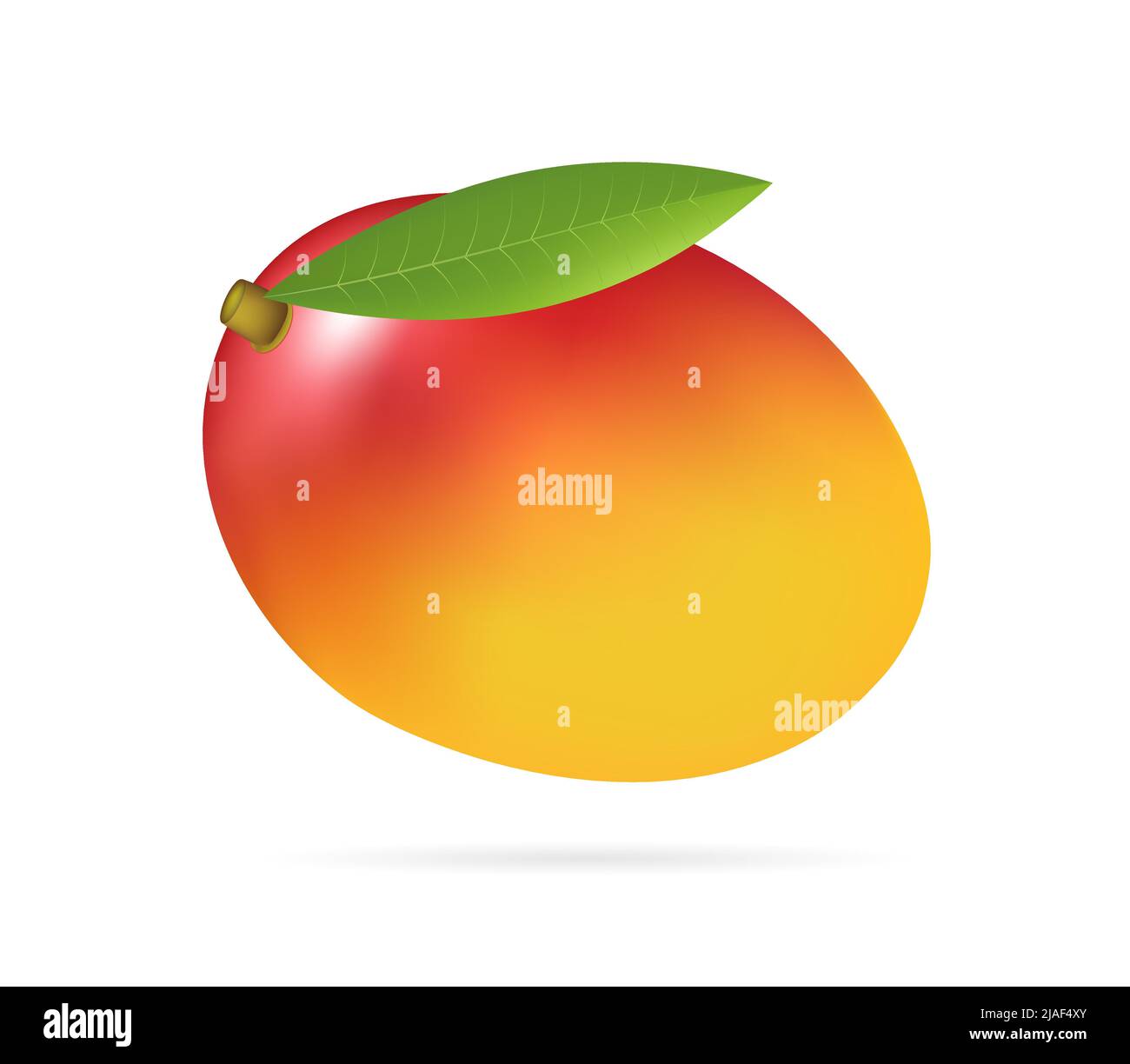 Whole mango with leaf, half realistic style vector illustration isolated on white background Stock Vector