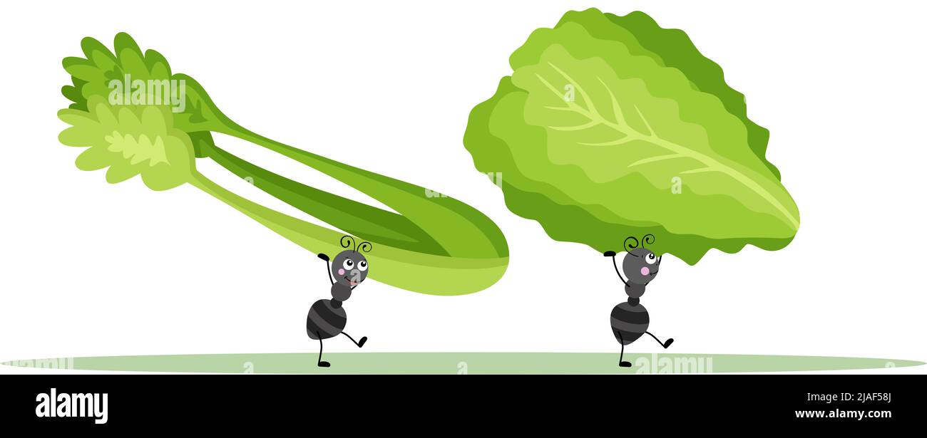 Cute ants carrying a lettuce and a celery Stock Photo Alamy