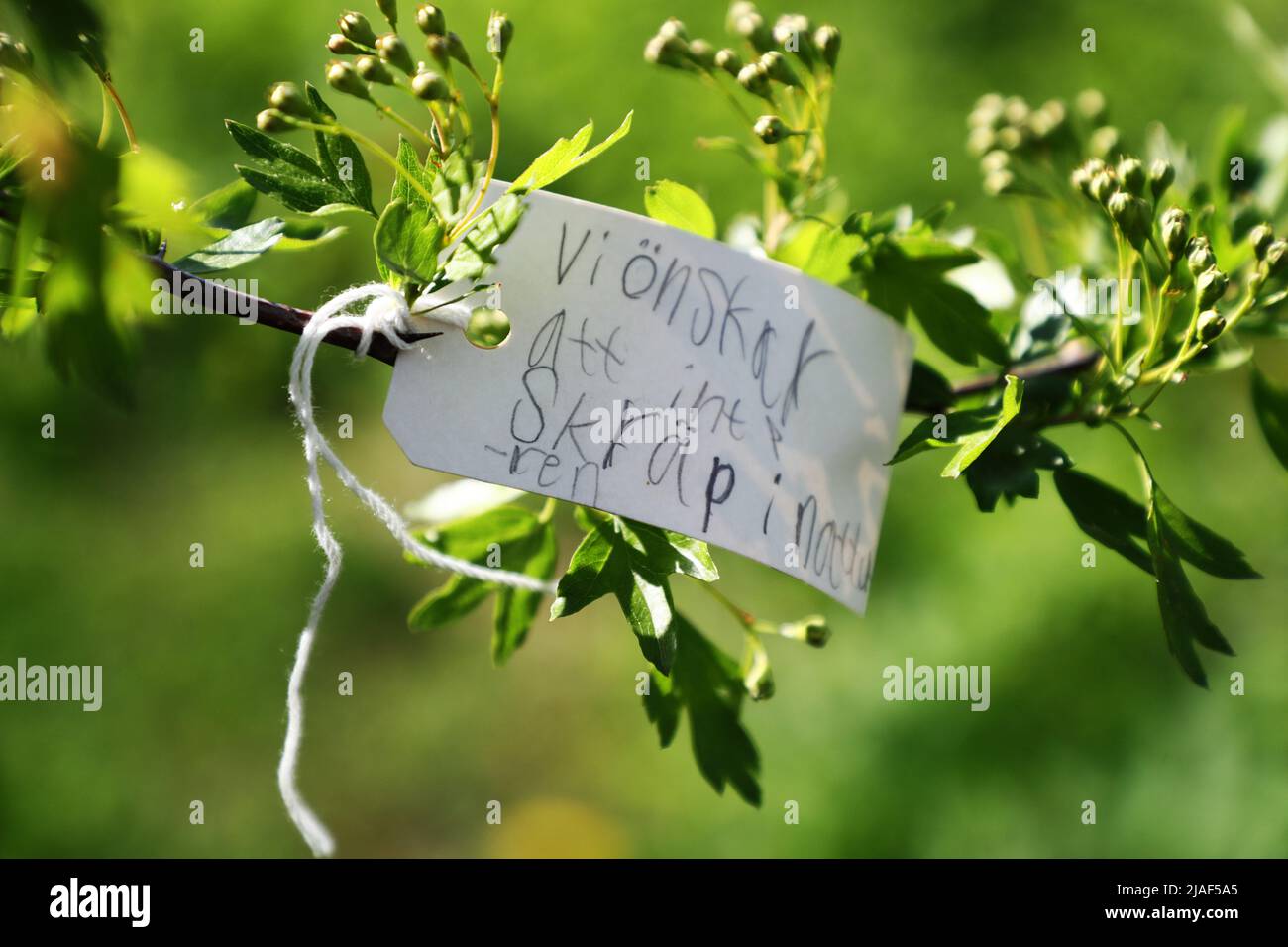 Daily life, naturum Tåkern, Glänås, Sweden. School students who have written notes about the environment and the climate. Stock Photo