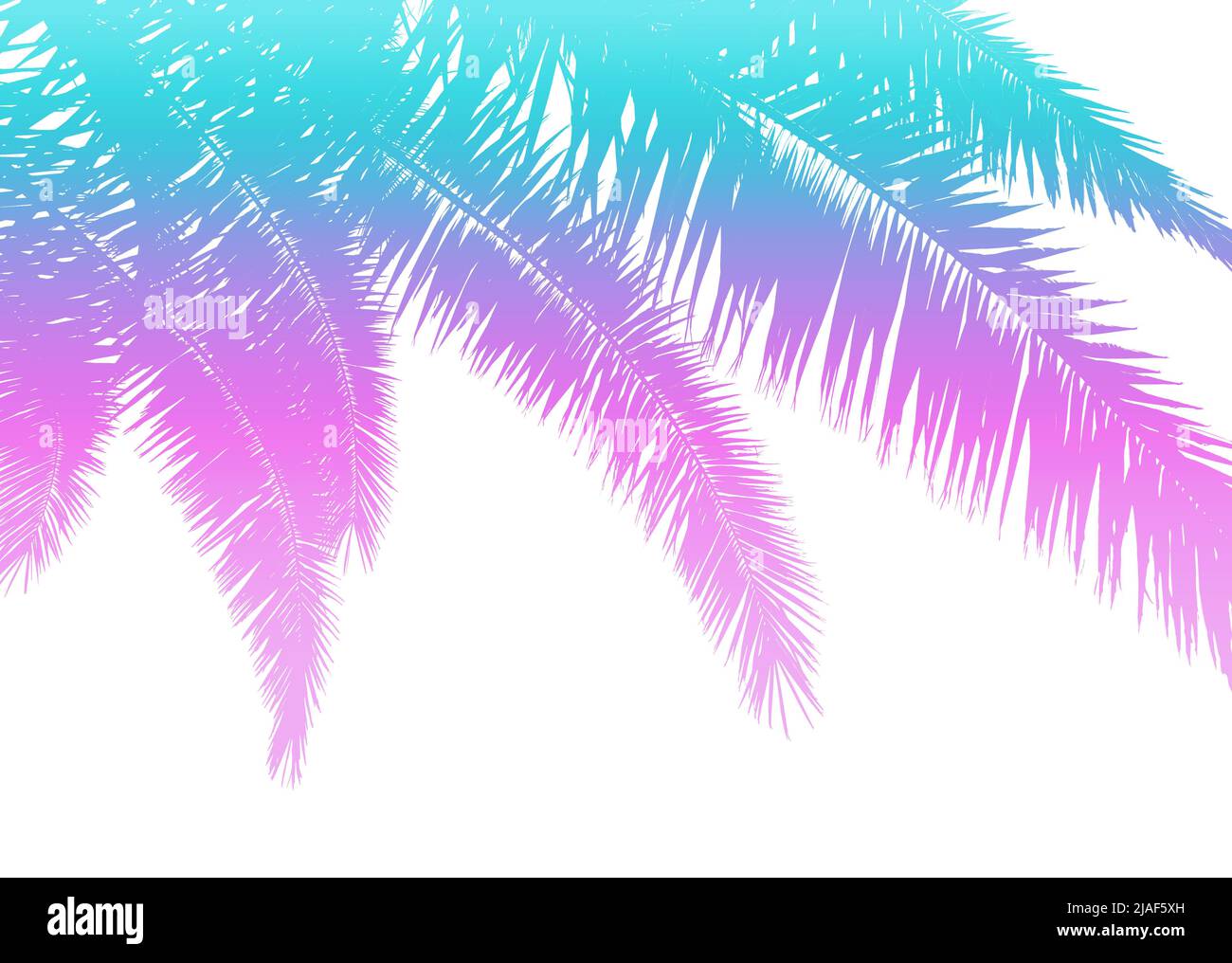 Palm leaves on white background Stock Photo - Alamy