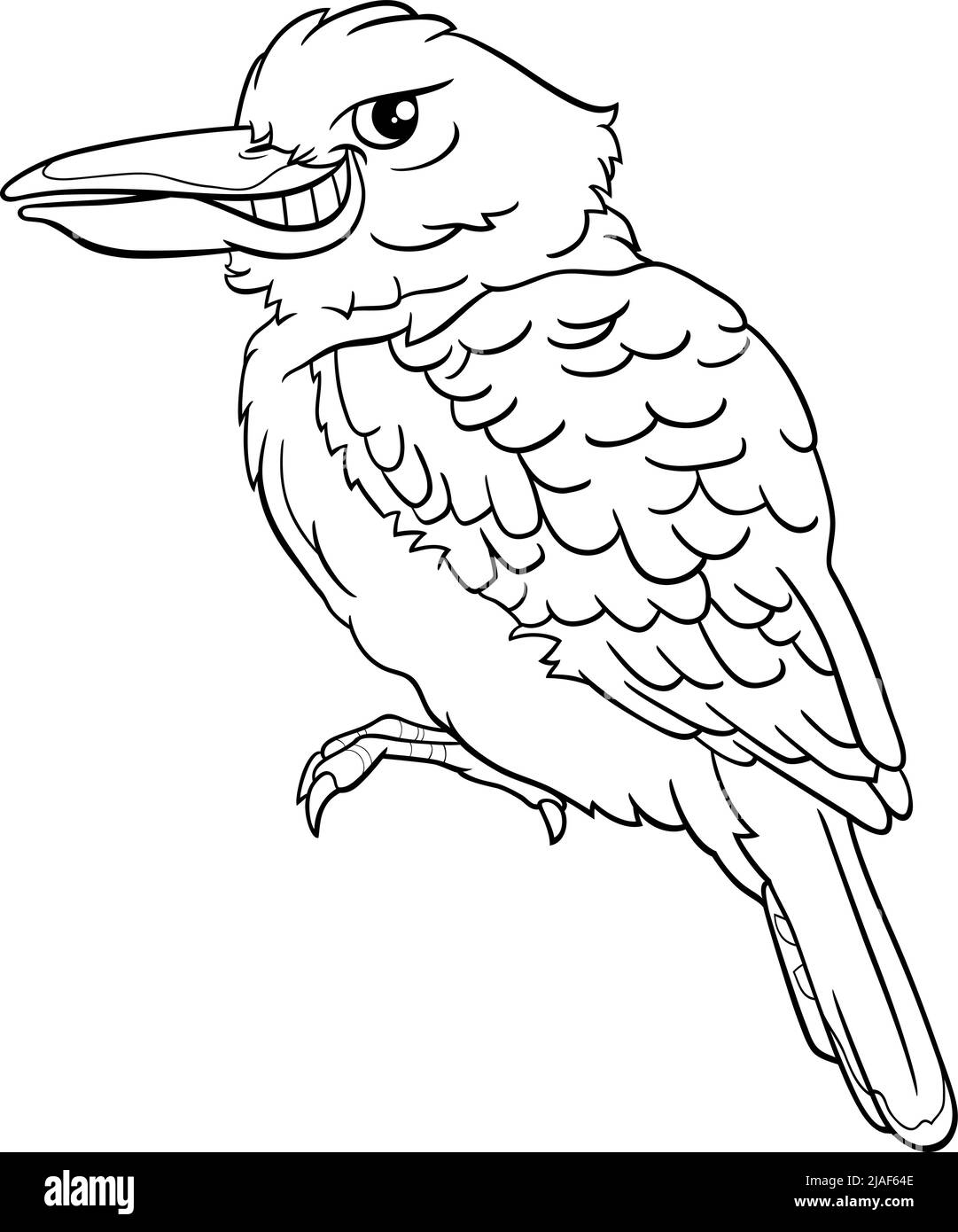 Black and white cartoon illustration of funny kookaburra bird animal character coloring page Stock Vector