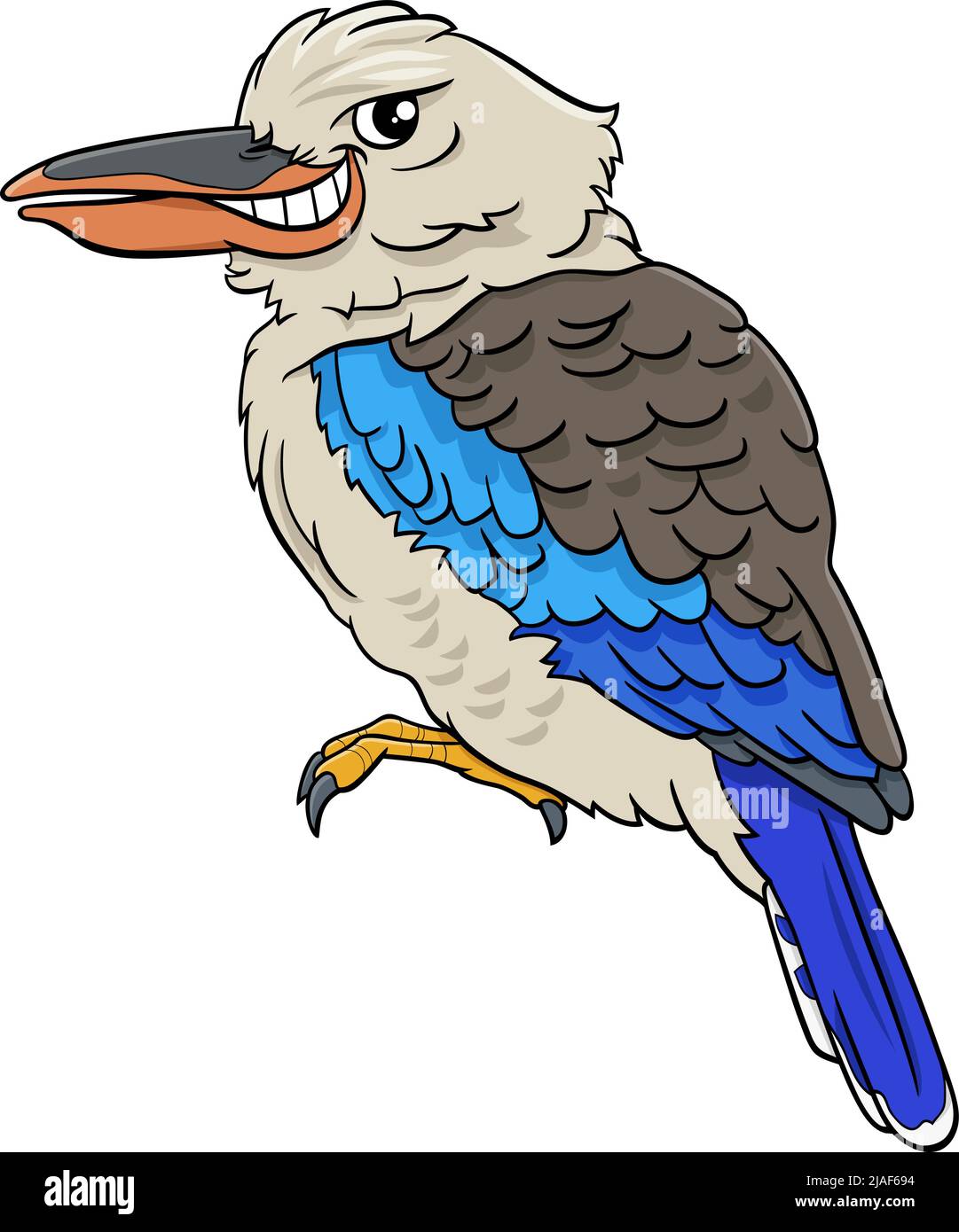Cartoon illustration of funny kookaburra bird animal character Stock Vector