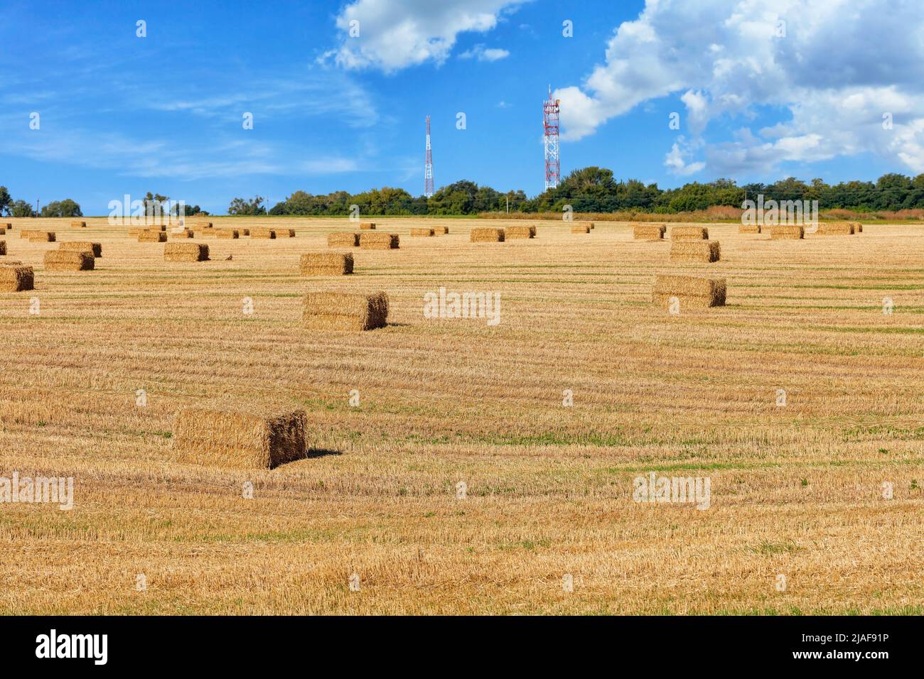 Large rectangular bales of straw on the stubble of an agricultural field against a blue cloudy sky and cell towers on the horizon. Copy space. Stock Photo