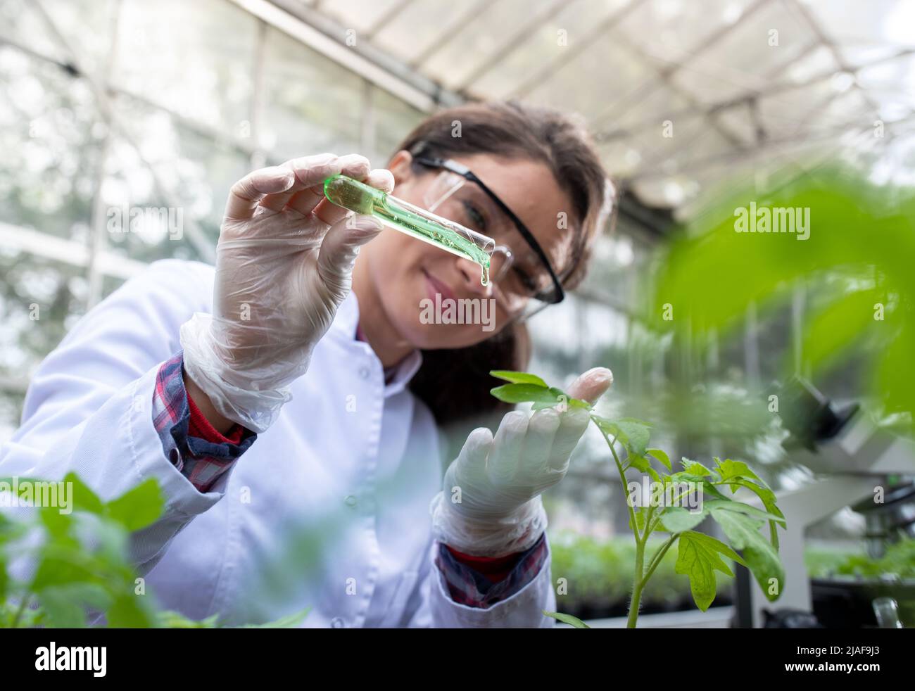 Applying insecticides hires stock photography and images Alamy