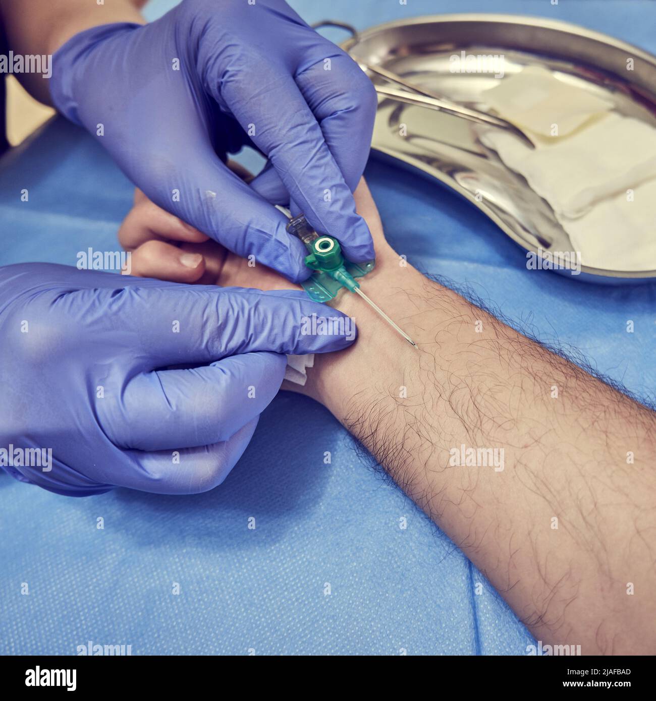 Intravenous catheter in the hands of a doctor. Preparation for vein