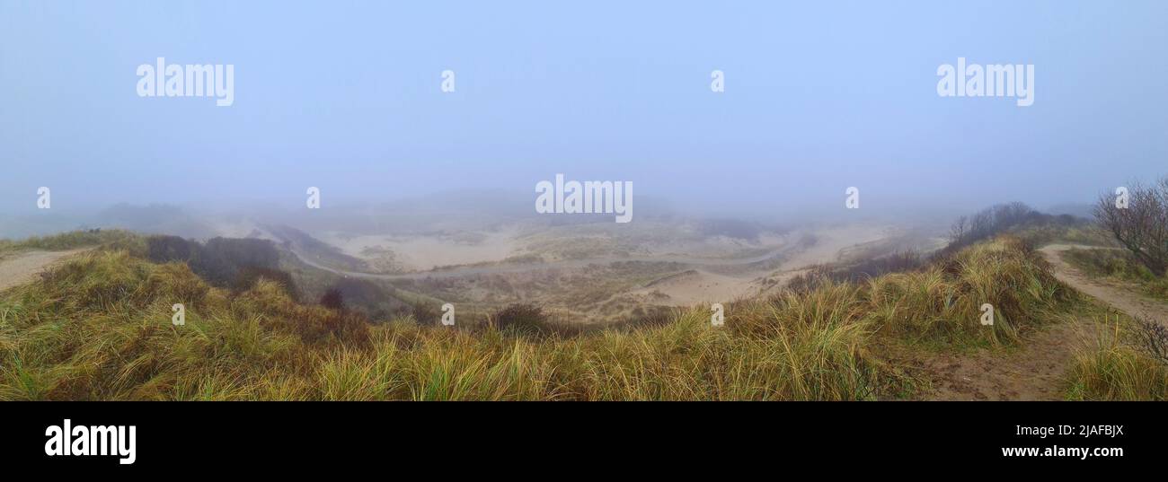 dune landscape in the fog, Netherlands, Noordwijk aan Zee Stock Photo