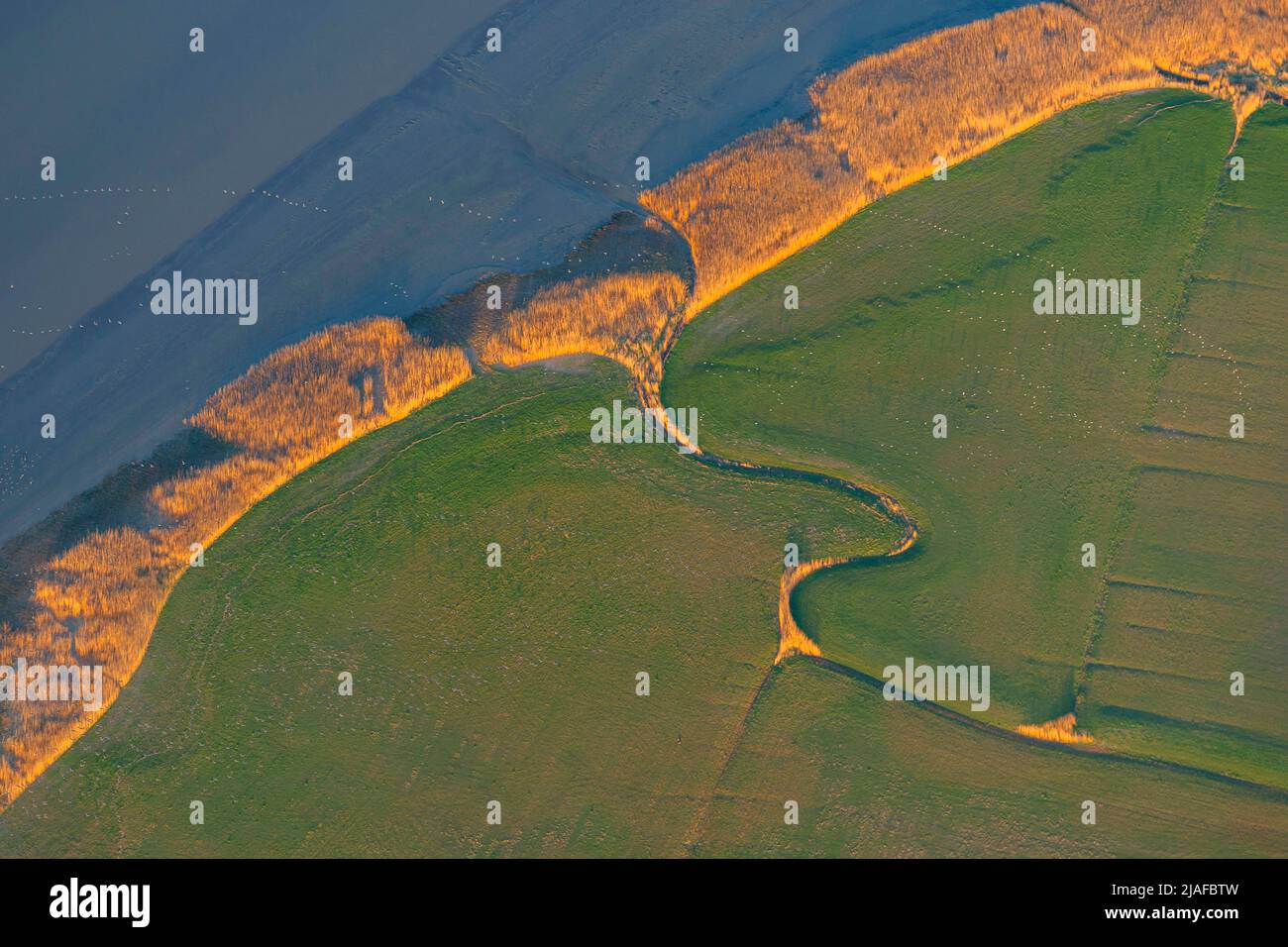 Near-natural shore of the river Elbe near Kehdingen, 04/18/2022, aerial view, Germany, Lower Saxony Stock Photo