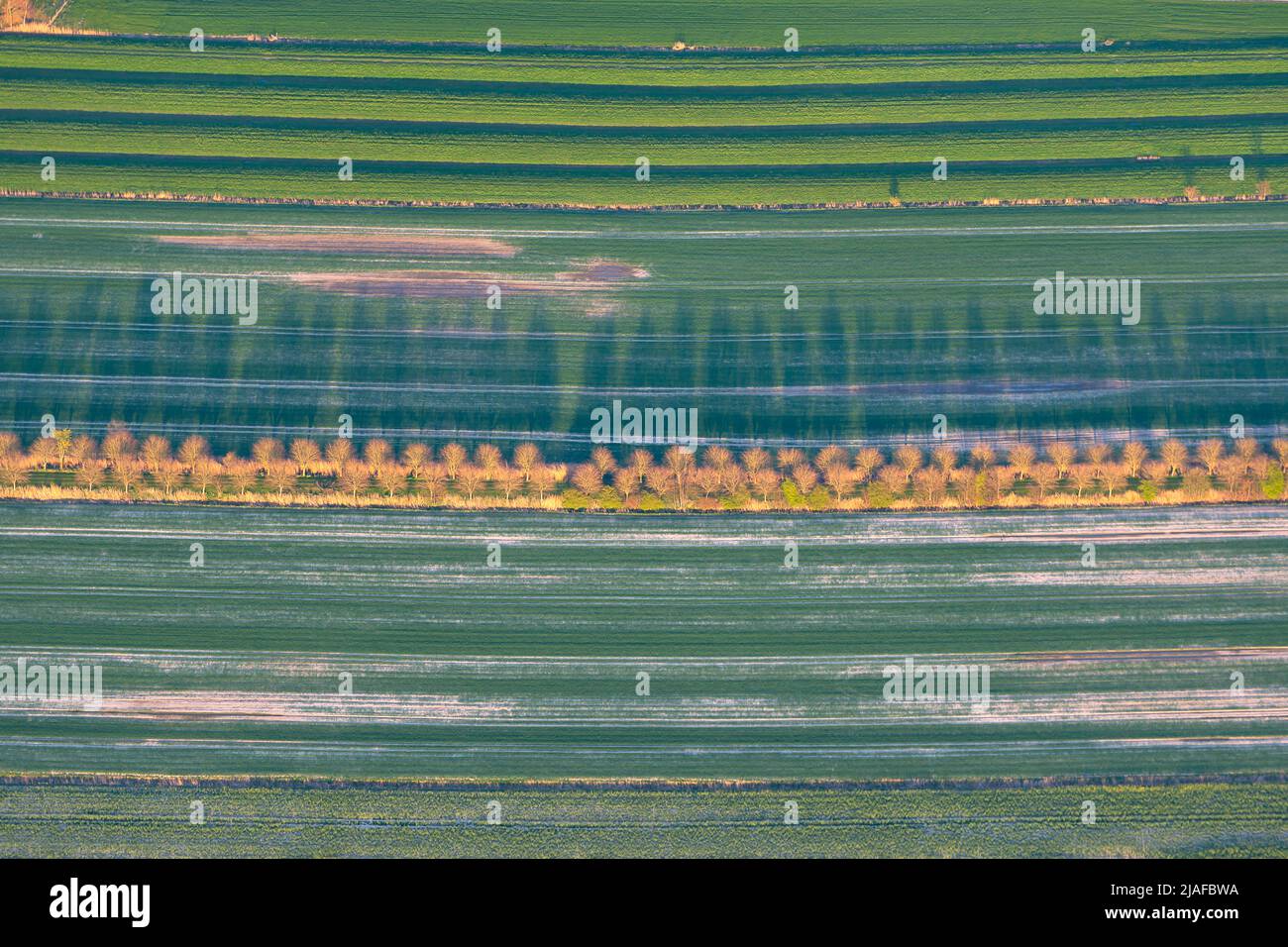 Fruit growing in Kehdingen, 04/18/2022, aerial view, Germany, Lower Saxony Stock Photo