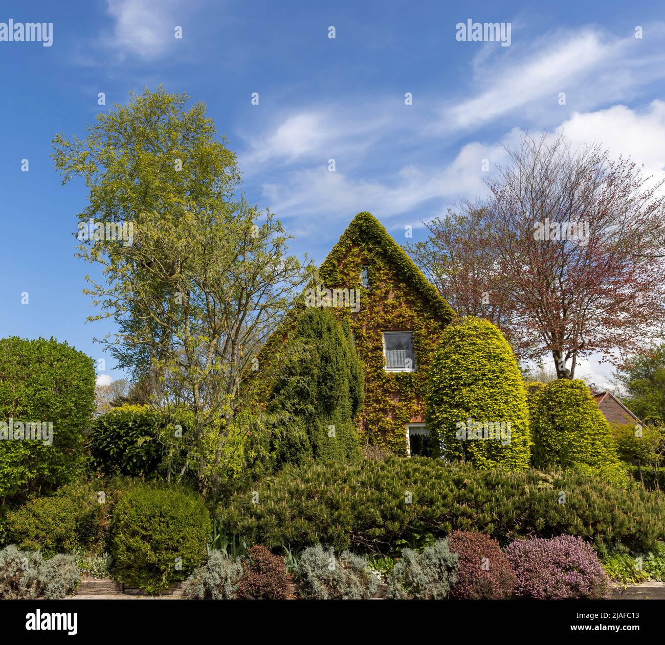 Greened house in the village Norden, Germany, Lower Saxony, East Frisia Stock Photo