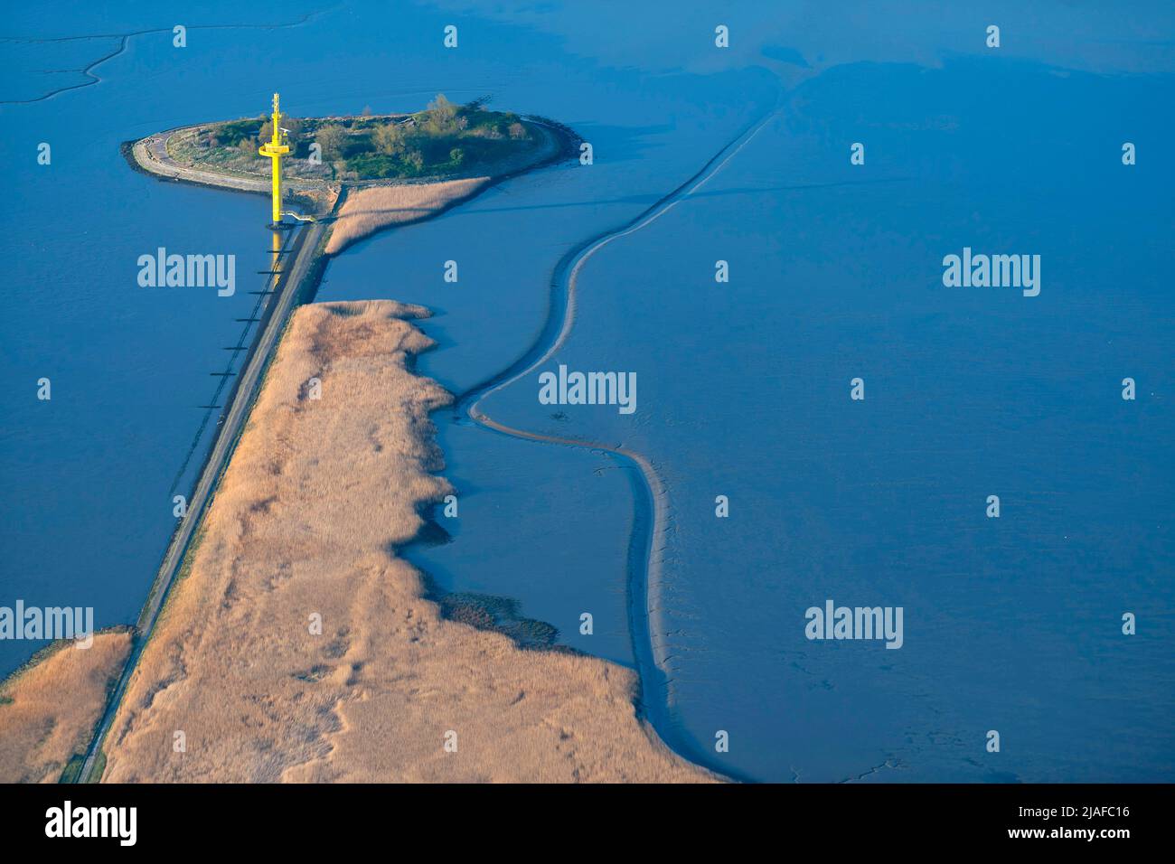 Reed zone at the river Weser near Langluetjen, 04/18/2022, aerial view, Germany, Lower Saxony Stock Photo