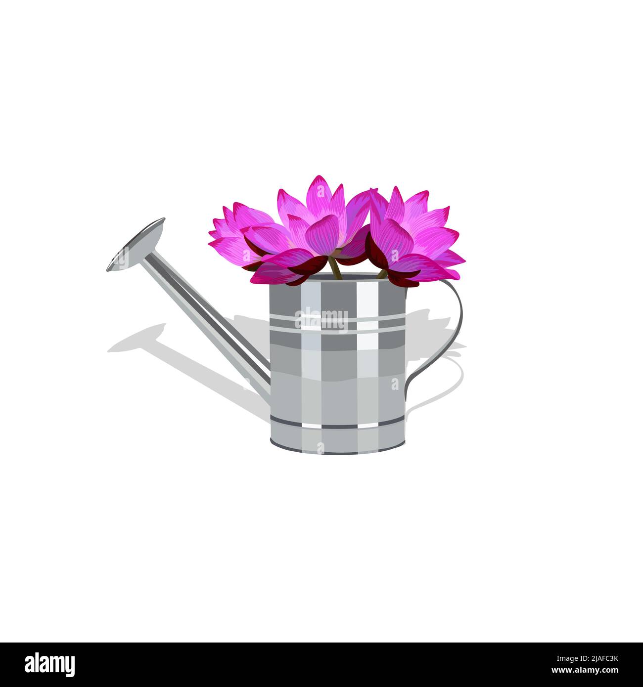 Garden watering can with a bouquet of flowers. Isolated on white ...