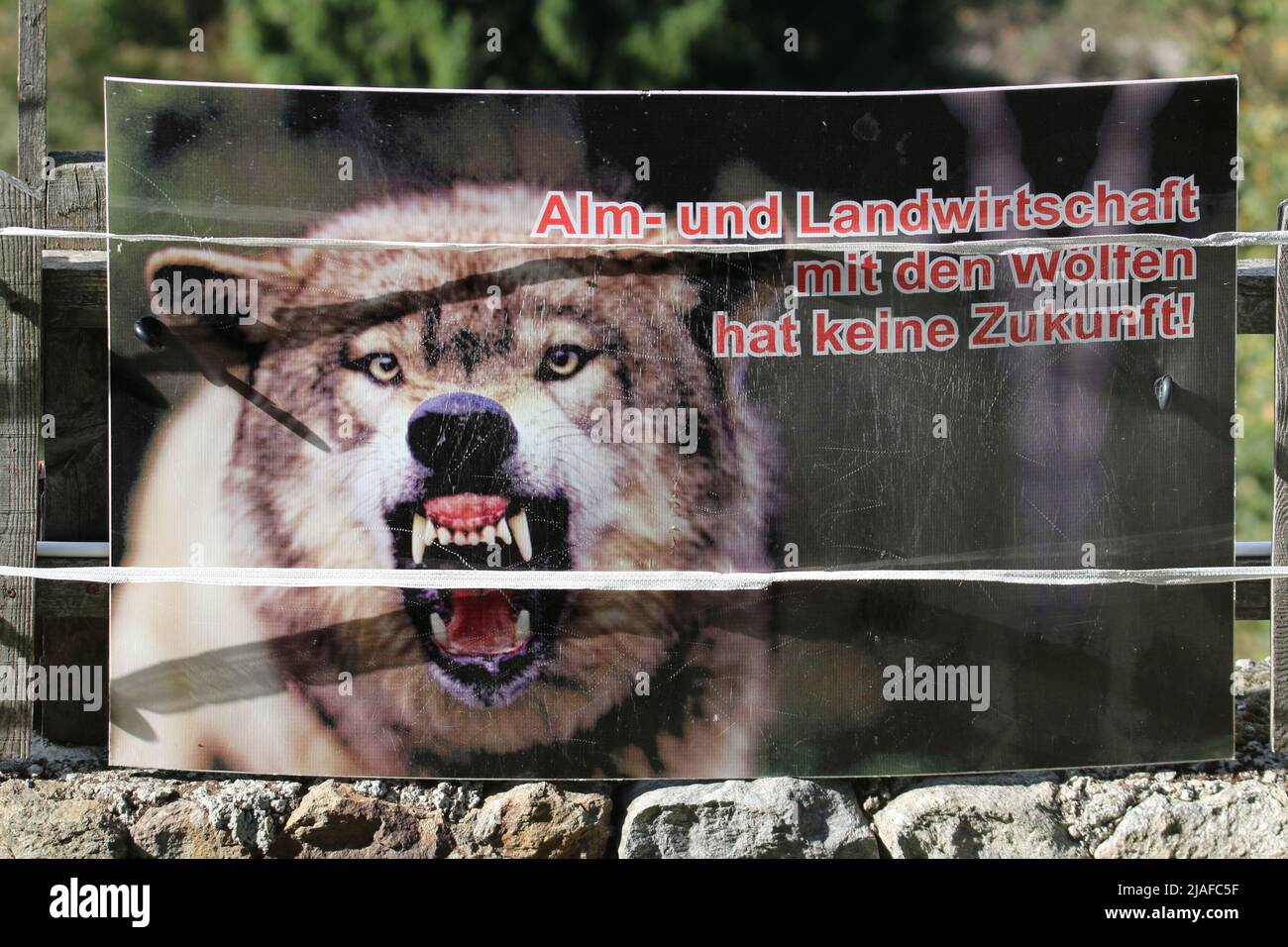 European gray wolf (Canis lupus lupus), warnung sign against wolfes in the Alpes, Italy, South Tyrol Stock Photo