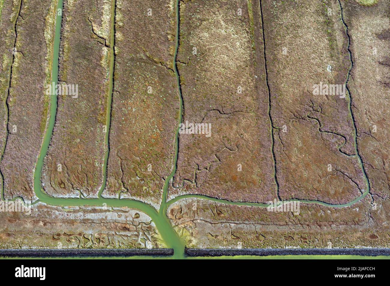 Langwarder Groden, 04/18/2022, aerial view, Germany, Lower Saxony Stock Photo