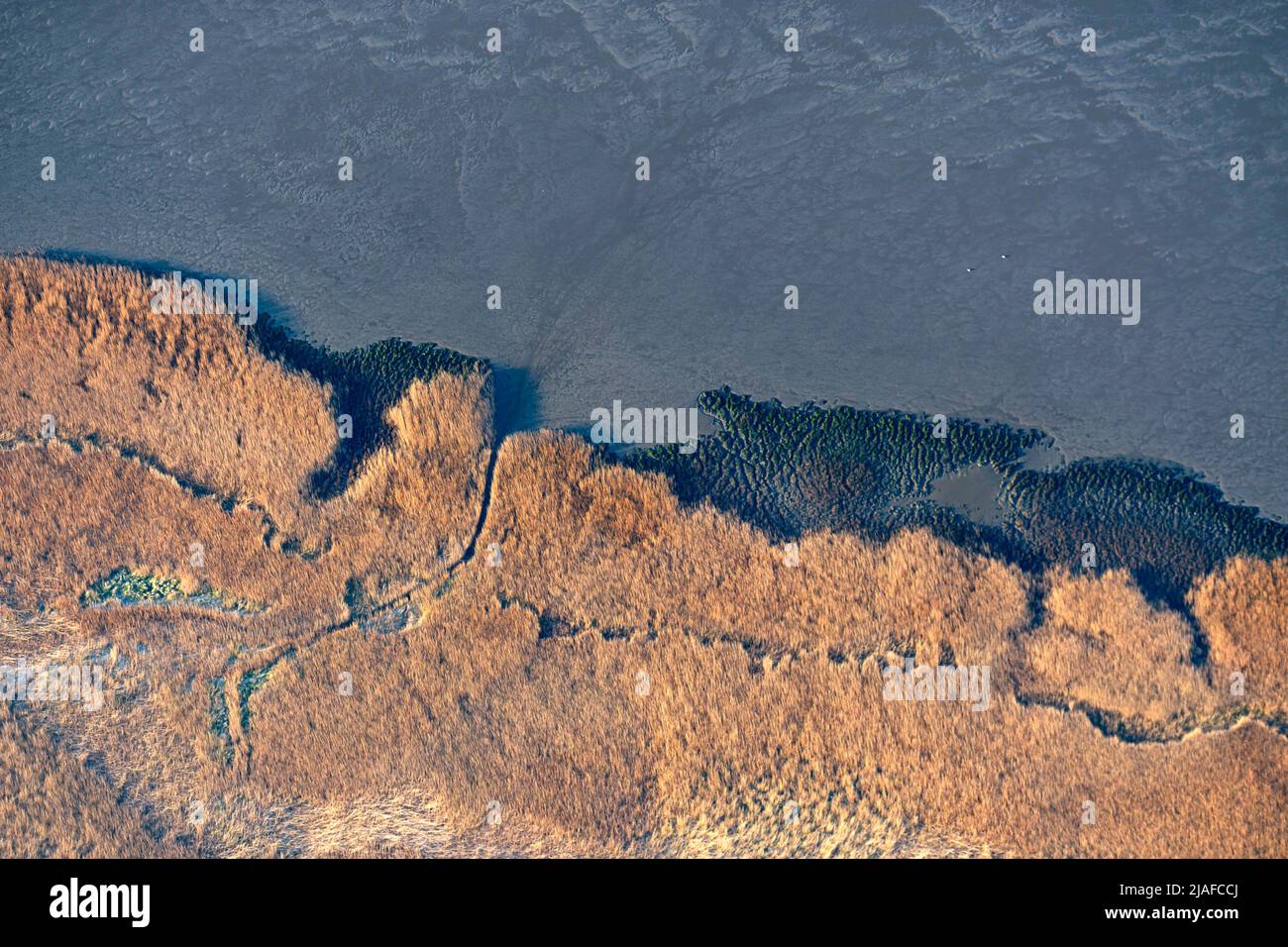 Reed zone along the river Weser, 04/18/2022, aerial view, Germany, Lower Saxony, Langluetjen Stock Photo