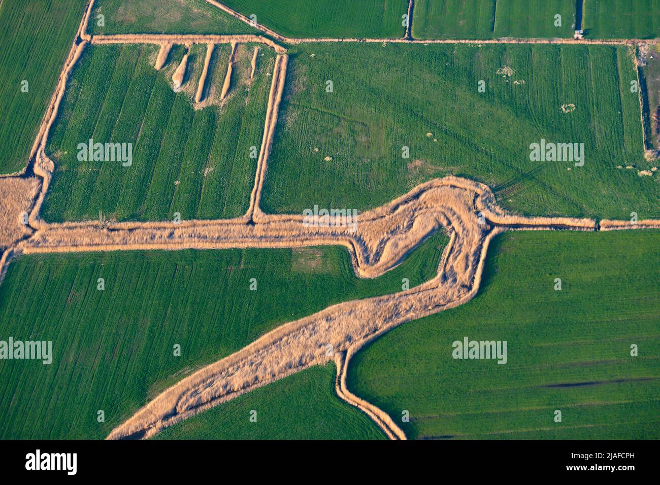 Cultural landscape system of drainage ditches, with 04/18/2022, aerial view, Germany, Lower Saxony Stock Photo