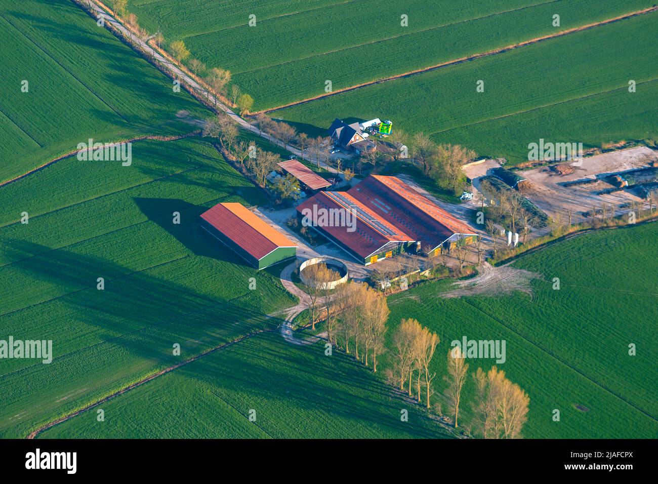 Stockbreeding farm and cultural landscape, 04/18/2022, aerial view, Germany, Lower Saxony Stock Photo