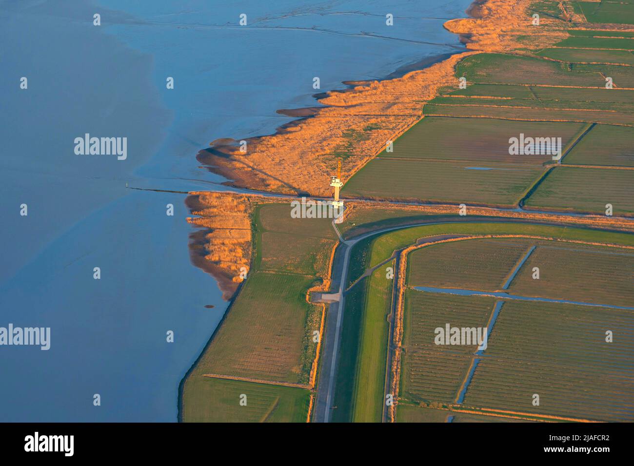 Near-natural shore of the river Elbe near Kehdingen, 04/18/2022, aerial view, Germany, Lower Saxony Stock Photo
