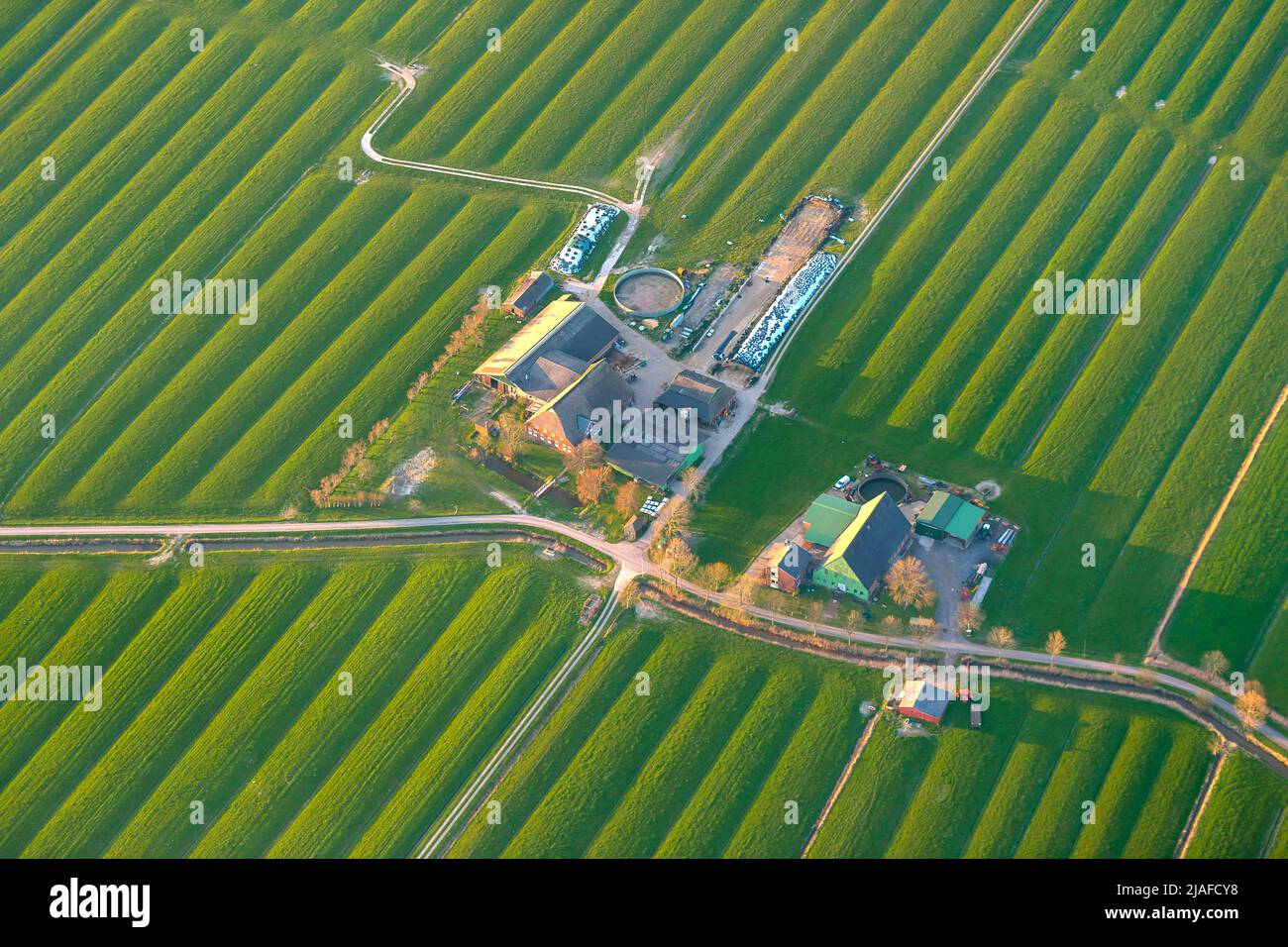Marshland with ditches at the coast of Fenne, 04/18/2022, aerial view, Germany, Lower Saxony Stock Photo