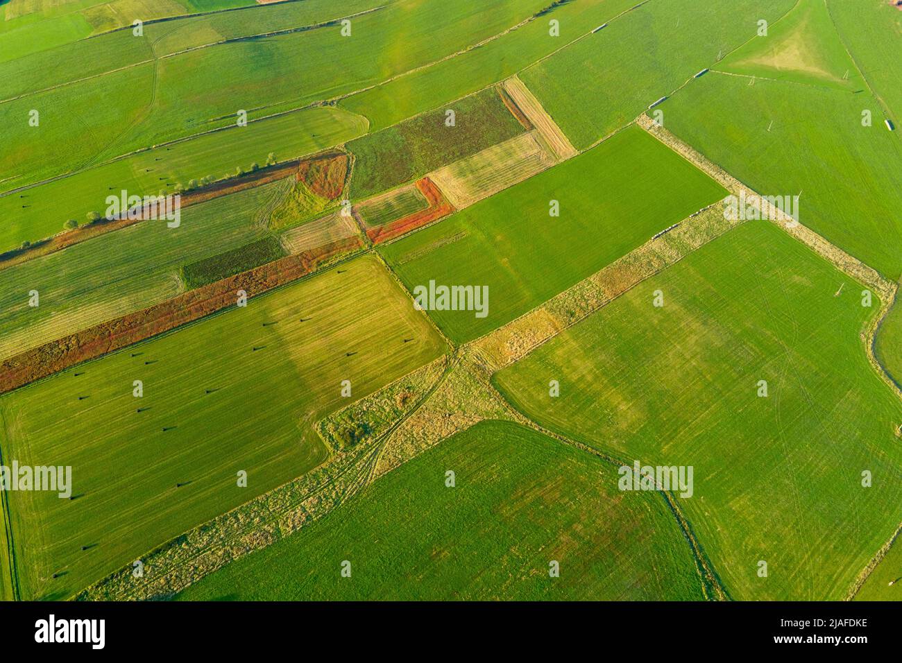 Aerial view of green agricultural fields. Countryside background ...