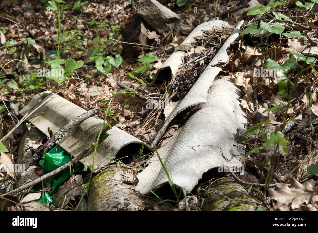 Asbestos Roofing Material Dumped in a Woodland Environment at the side of a Road. Stock Photo