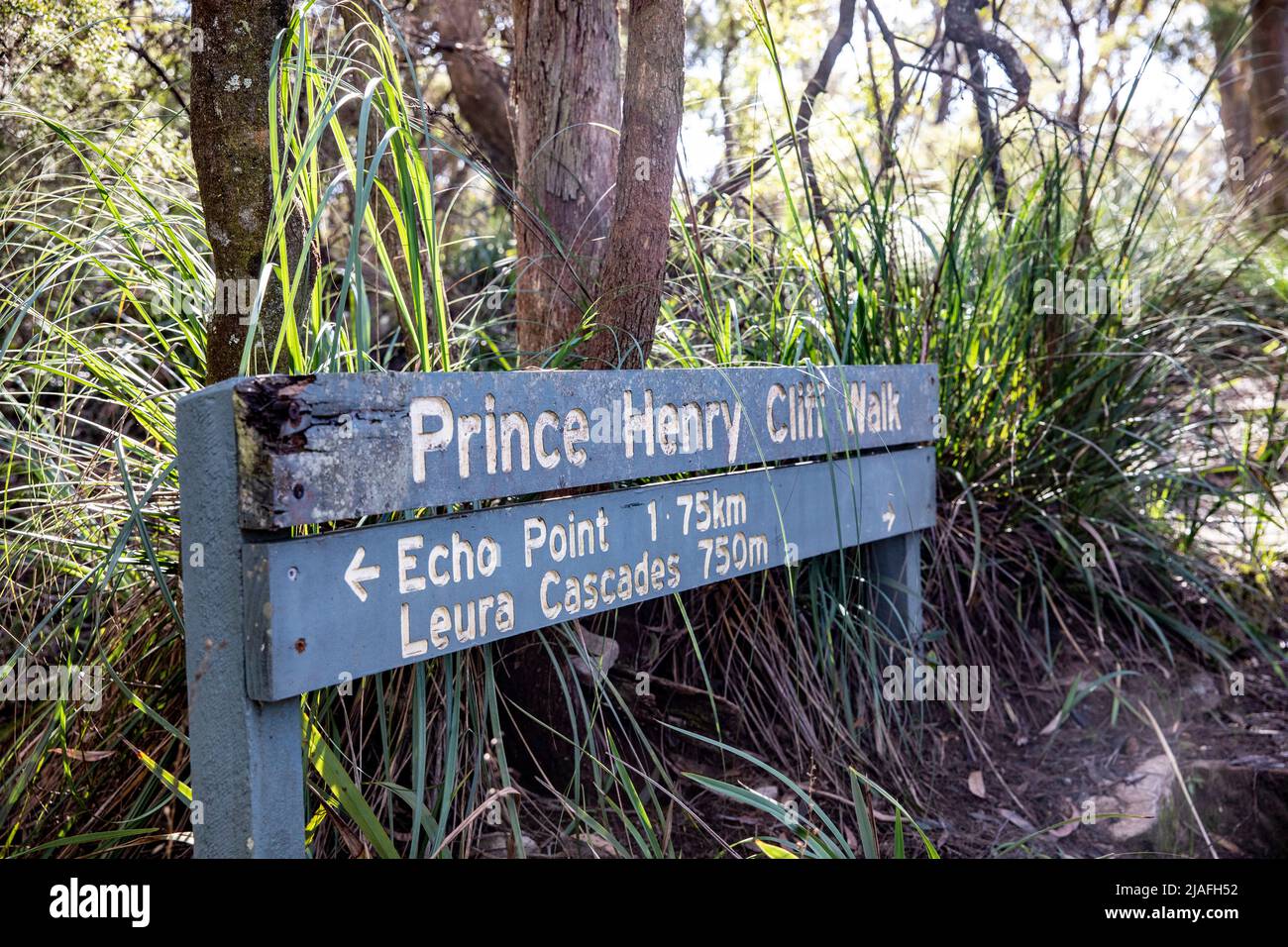Prince Henry Cliff walk in the Blue Mountains national park,NSW, and