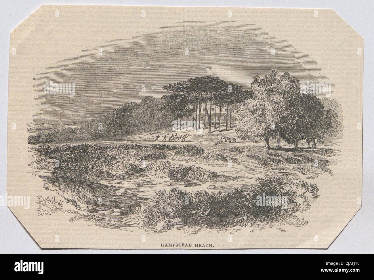 Hampstead Heath. ". Hampstead Heath, Park in the north of London