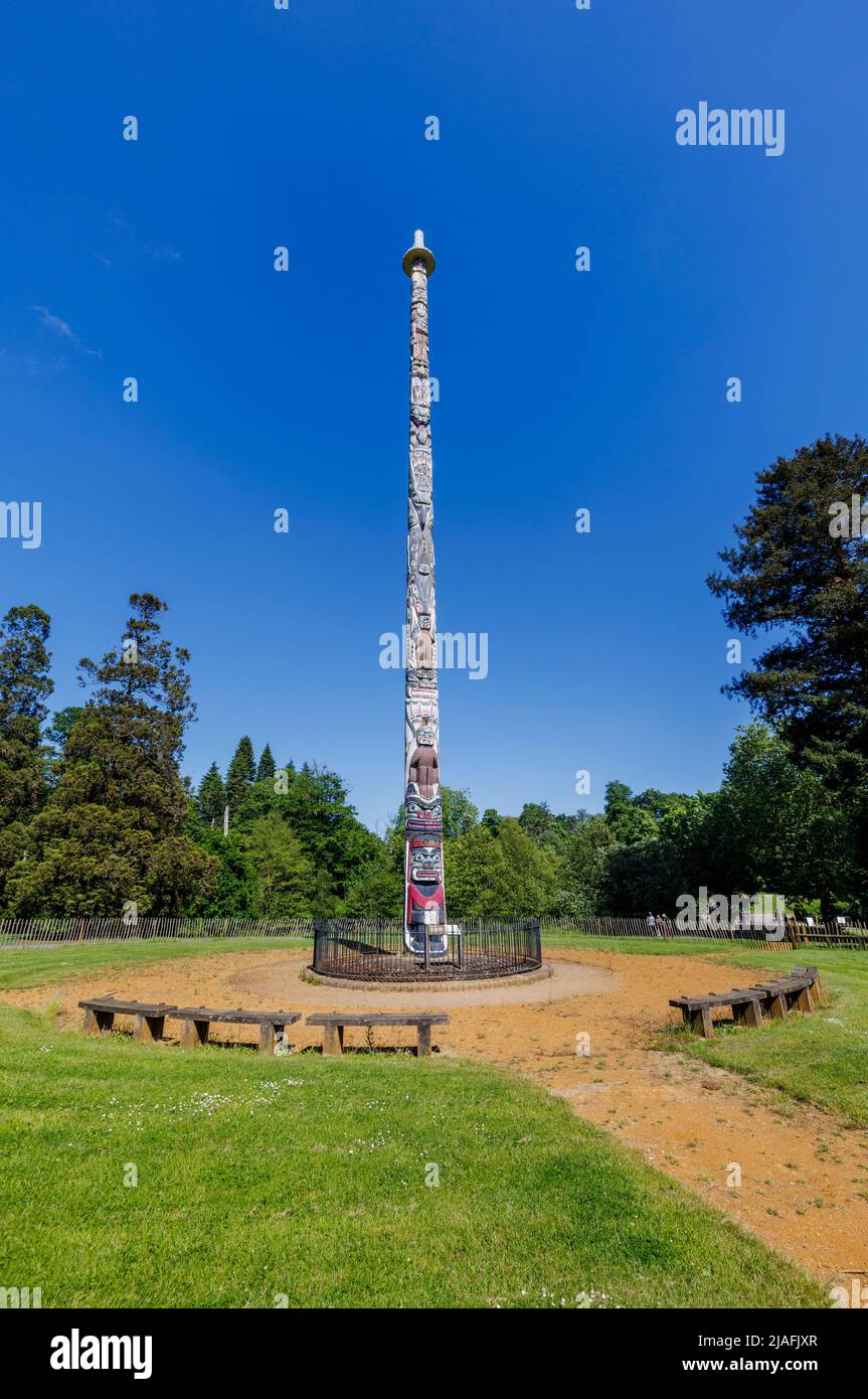 The dilapidated British Columbia Crown Colony Totem Pole before restoration, Valley Gardens, Virginia Water, Windsor Great Park, Surrey/Berkshire Stock Photo