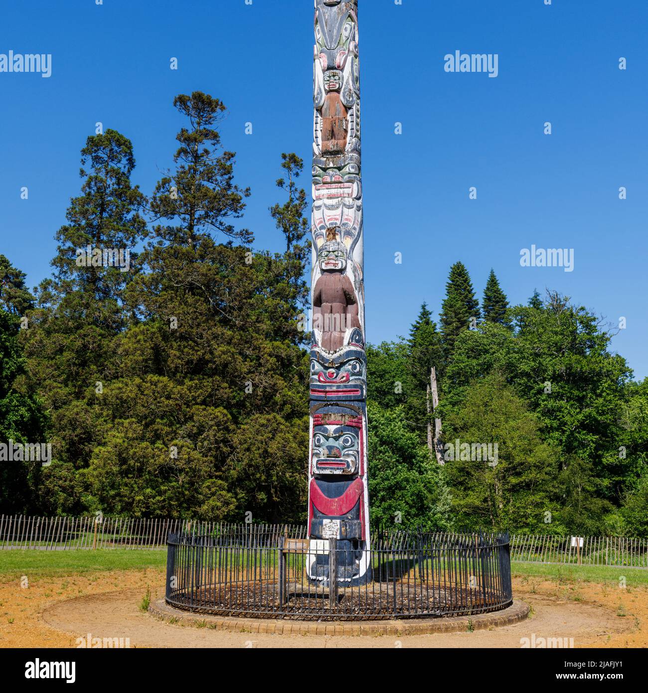 The dilapidated British Columbia Crown Colony Totem Pole before restoration, Valley Gardens, Virginia Water, Windsor Great Park, Surrey/Berkshire Stock Photo