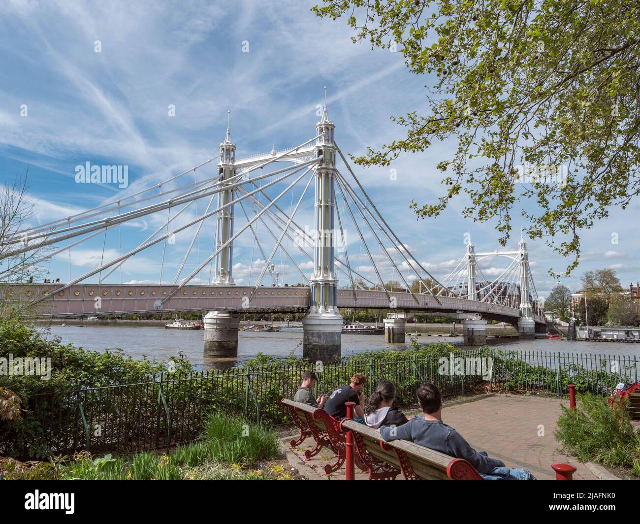 Albert bridge viewed from the south bank of the River Thames in