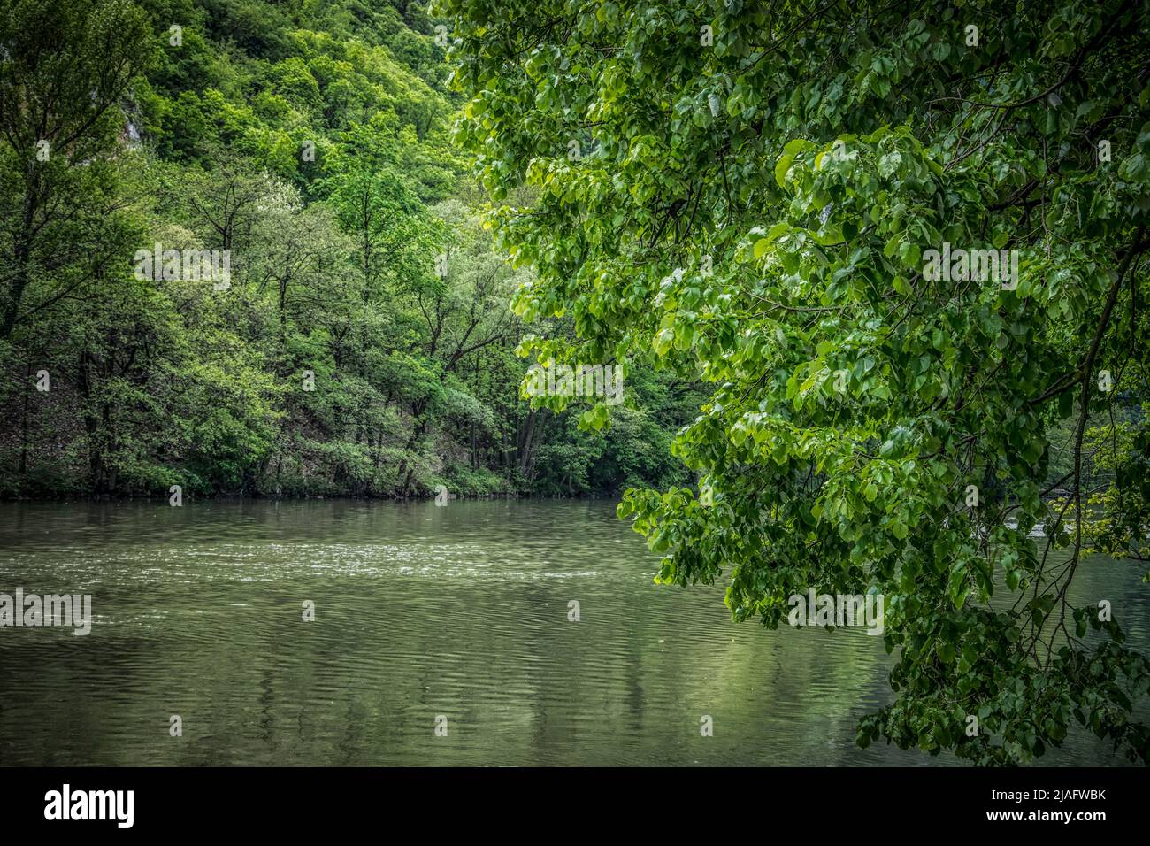 Beautiful nature on the banks of Western Morava river in Serbia Stock Photo