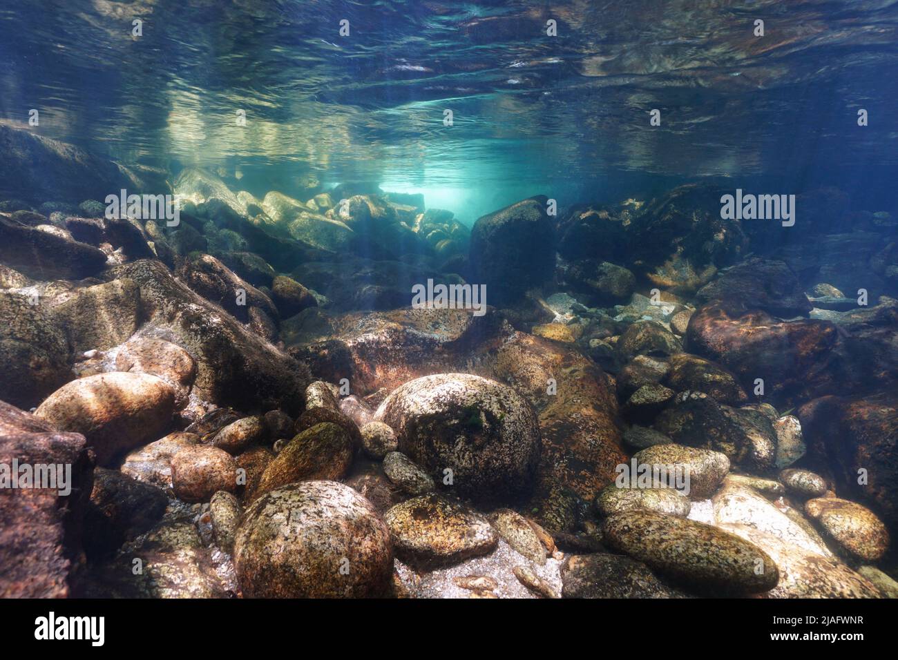 Rocks underwater landscape in a river, rocky riverbed, Spain, Galicia, Pontevedra province, Rio Verdugo Stock Photo