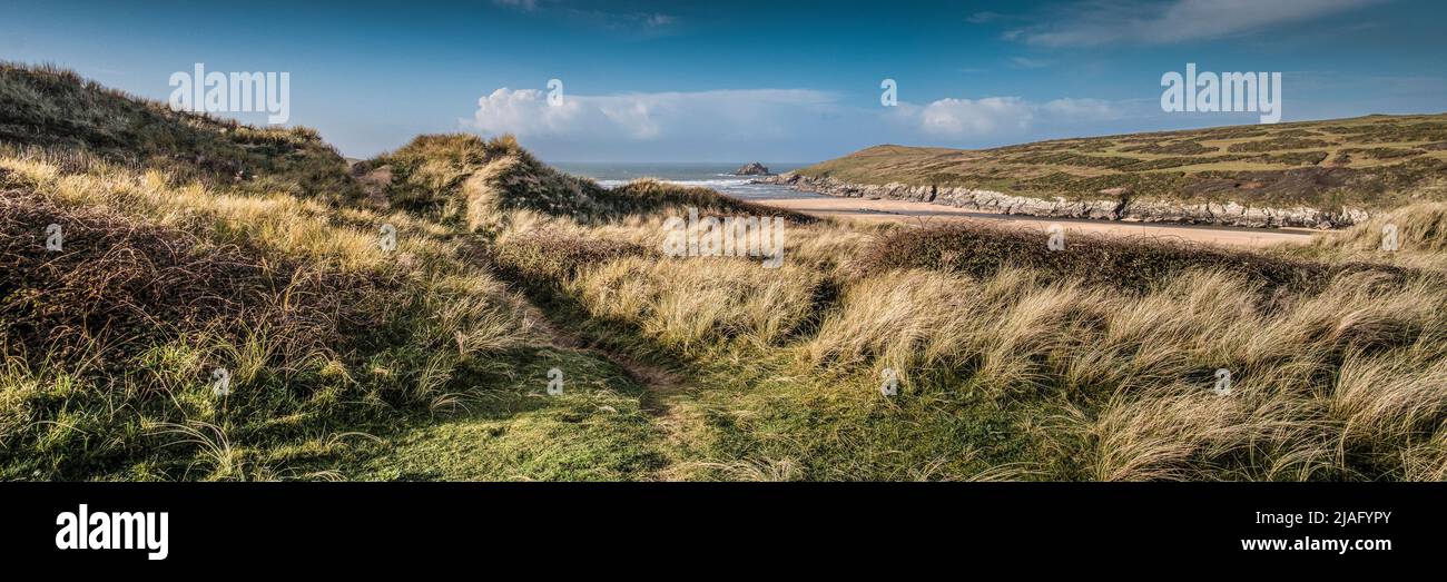 A panoramic view of late afternoon sunlight over the award winning Crantock Beach seen from Rushy Green sand dune system in Newquay in Cornwall. Stock Photo